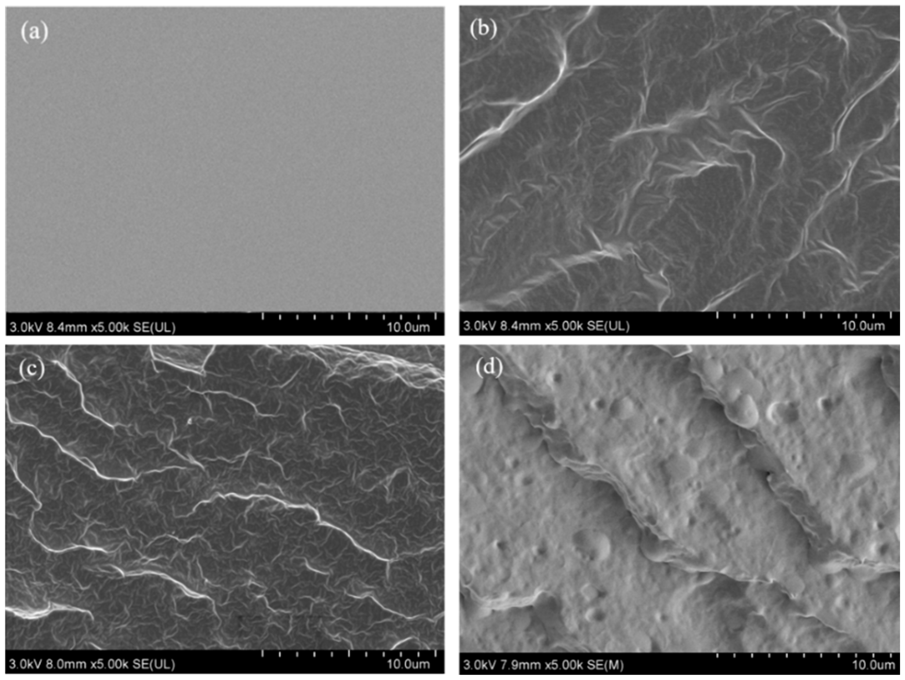 Materials 16 06256 g009