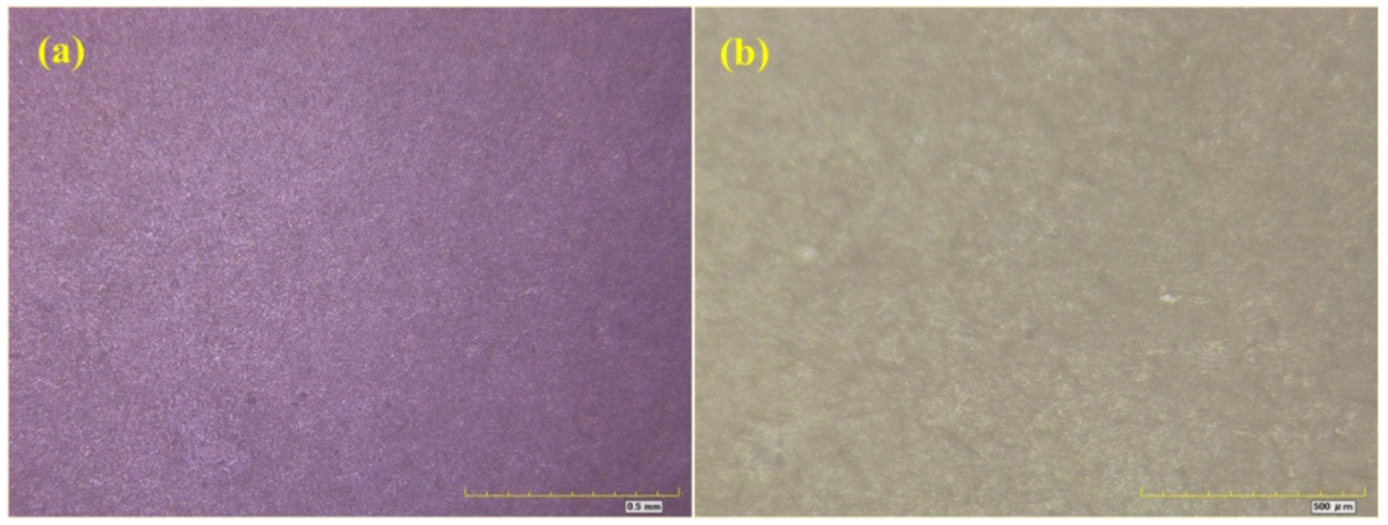 Materials 16 06257 g008