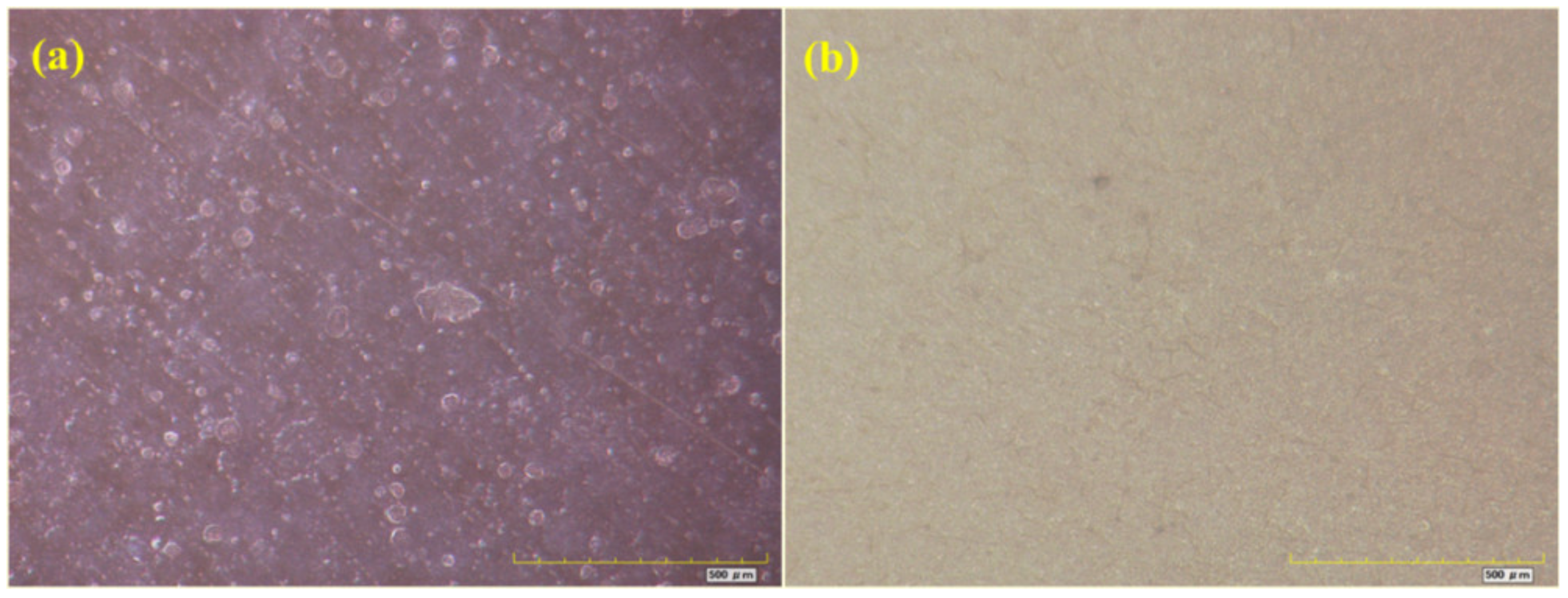 Materials 16 06257 g010