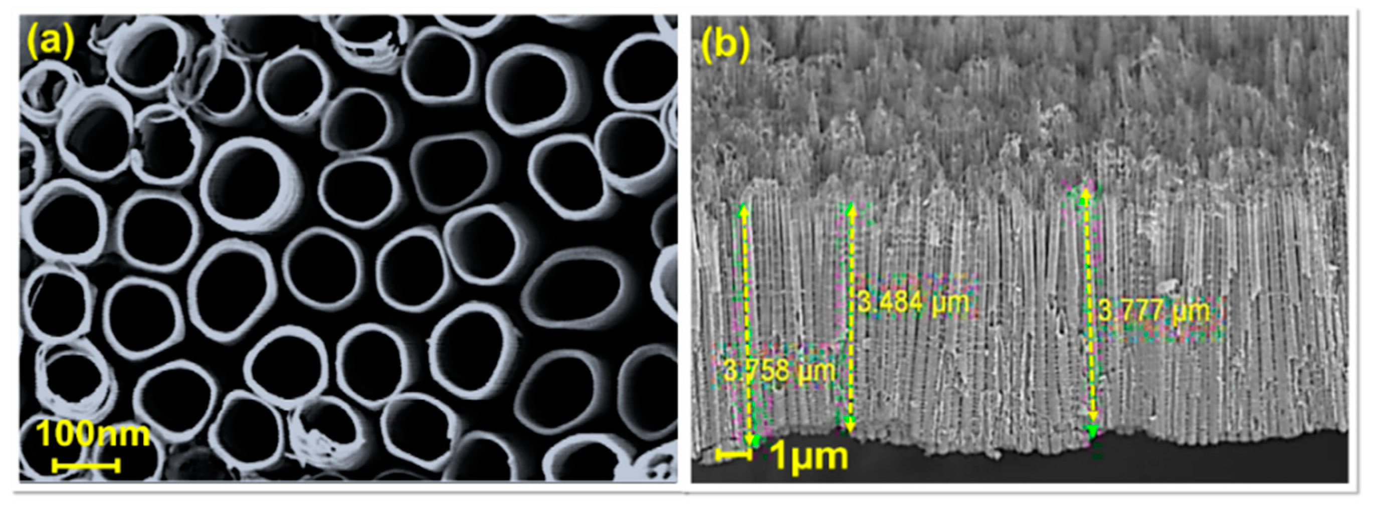 Materials 16 06261 g001