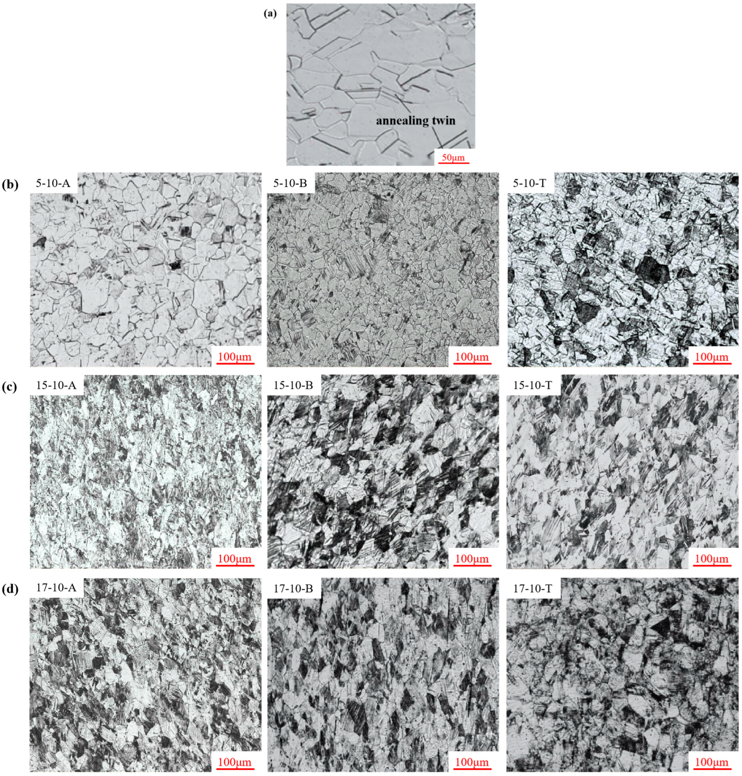 Materials 16 06264 g005