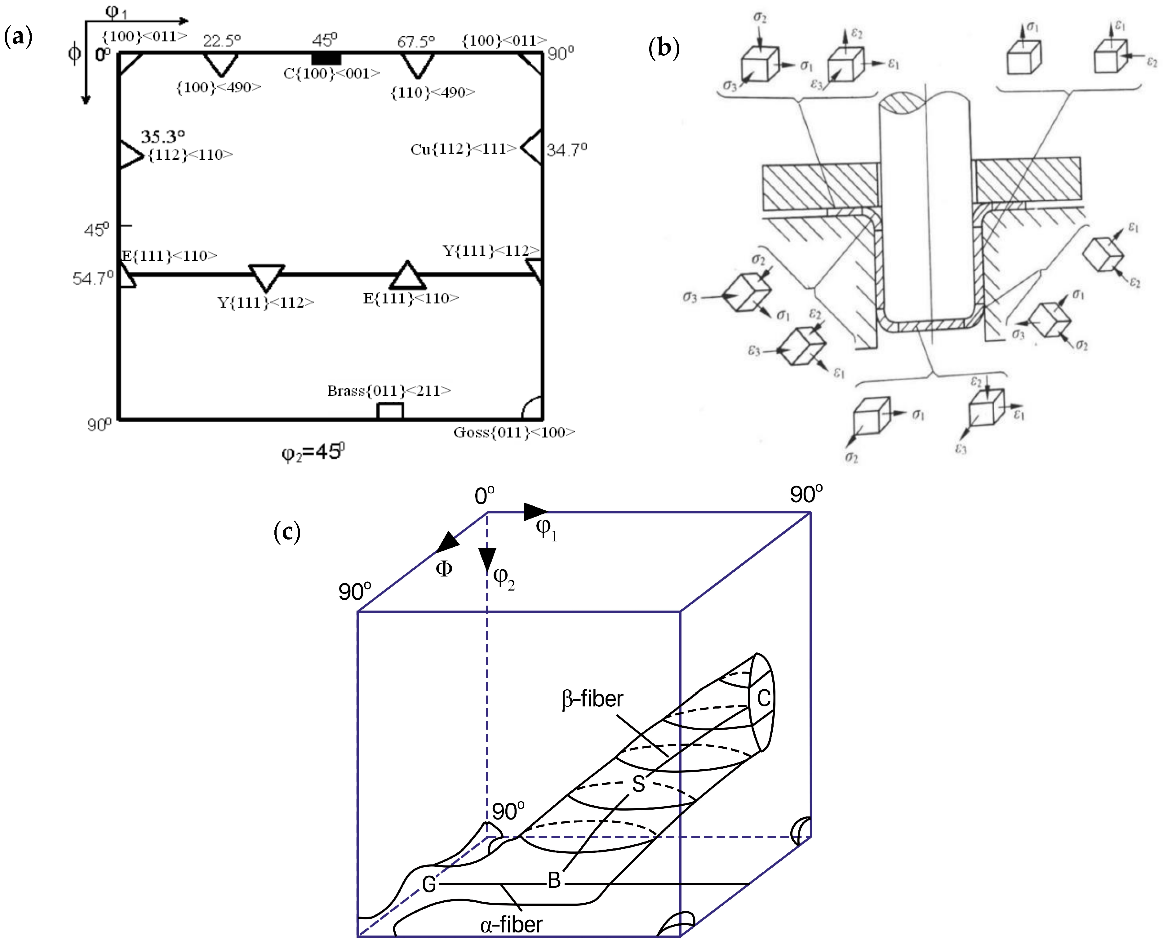 Materials 16 06264 g006