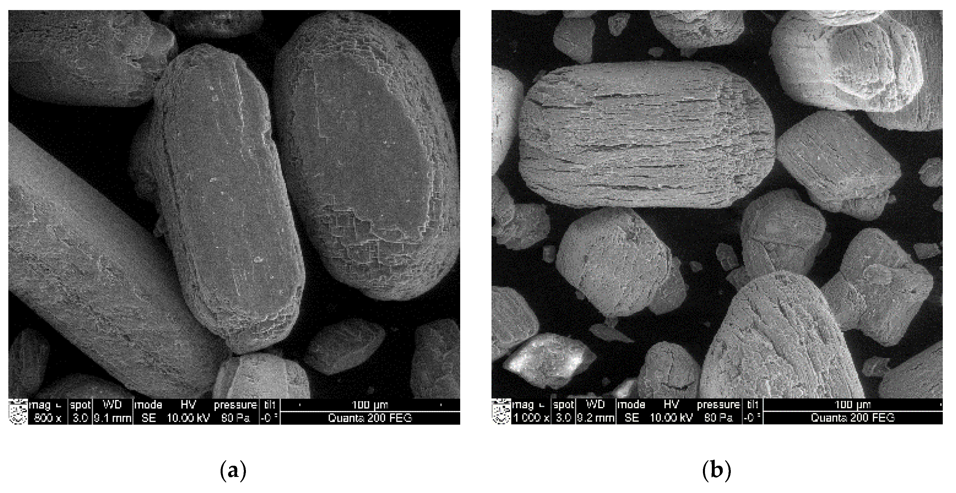 Materials 16 06265 g003a