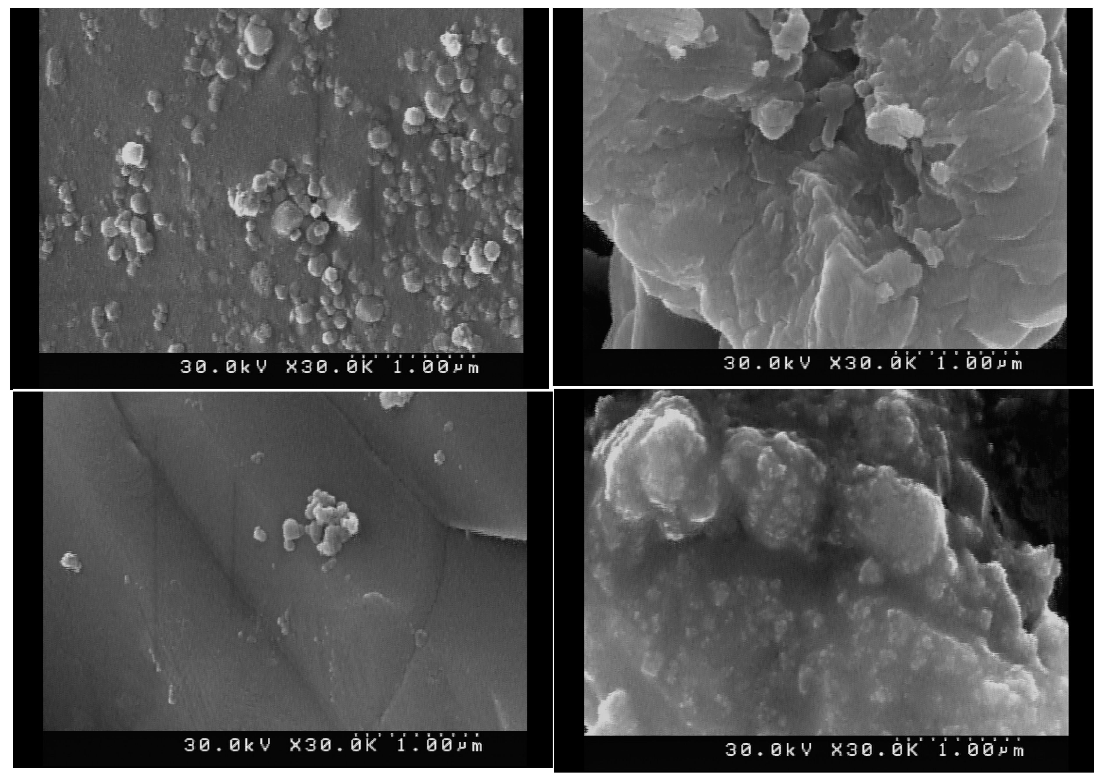 Materials 16 06268 g005