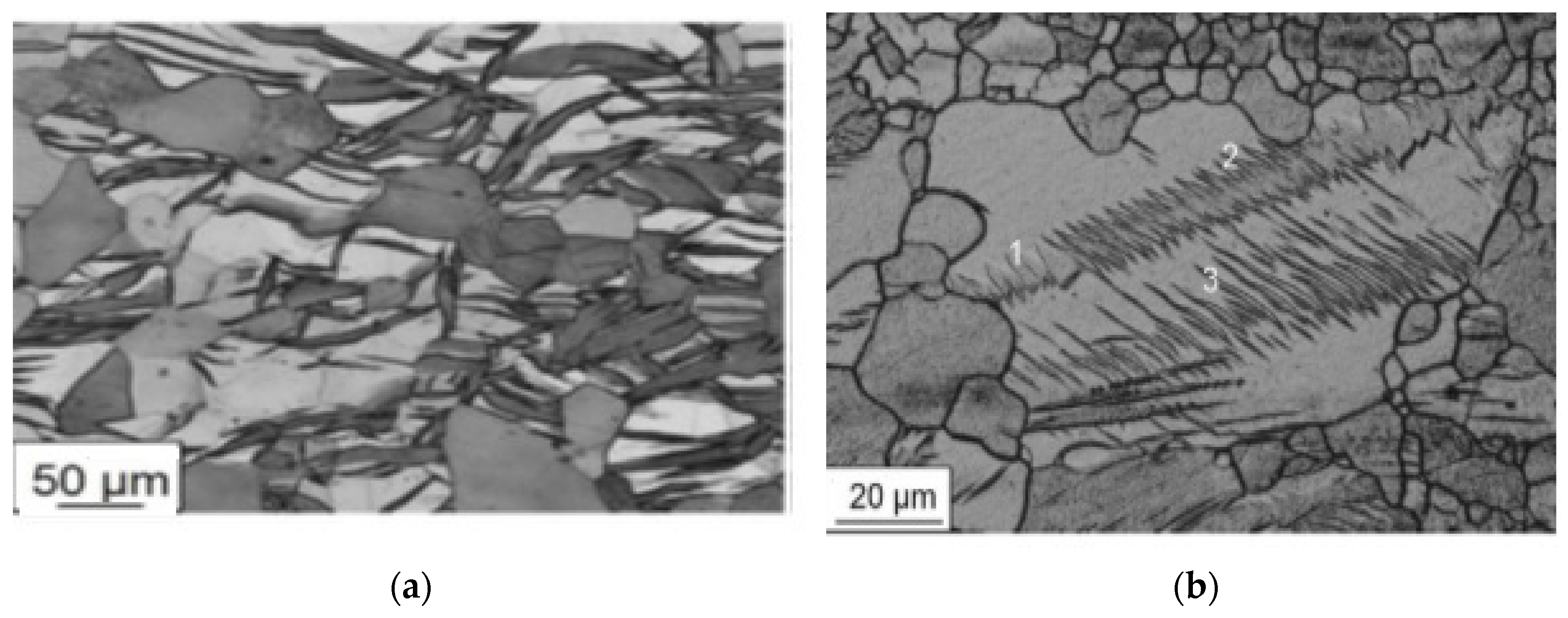 Materials 16 06270 g010