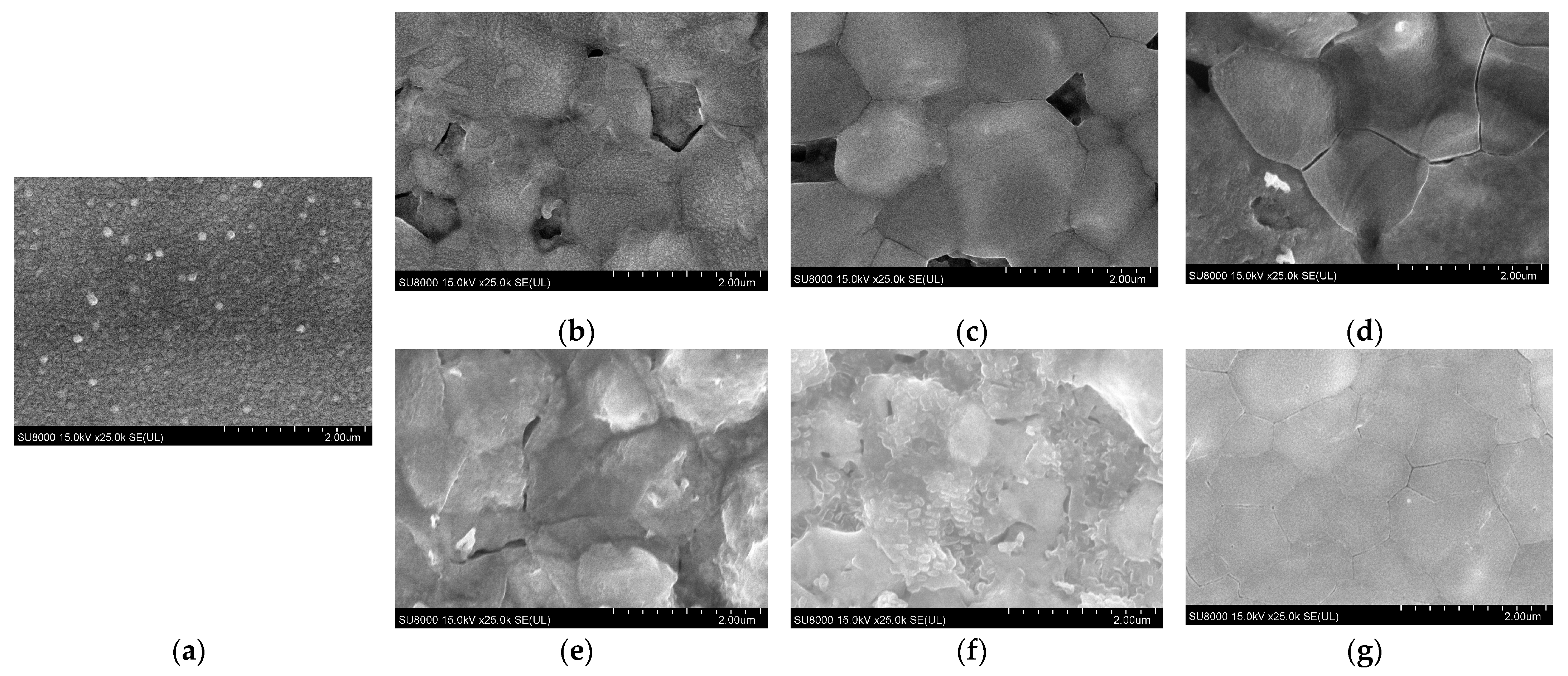 Materials 16 06289 g002