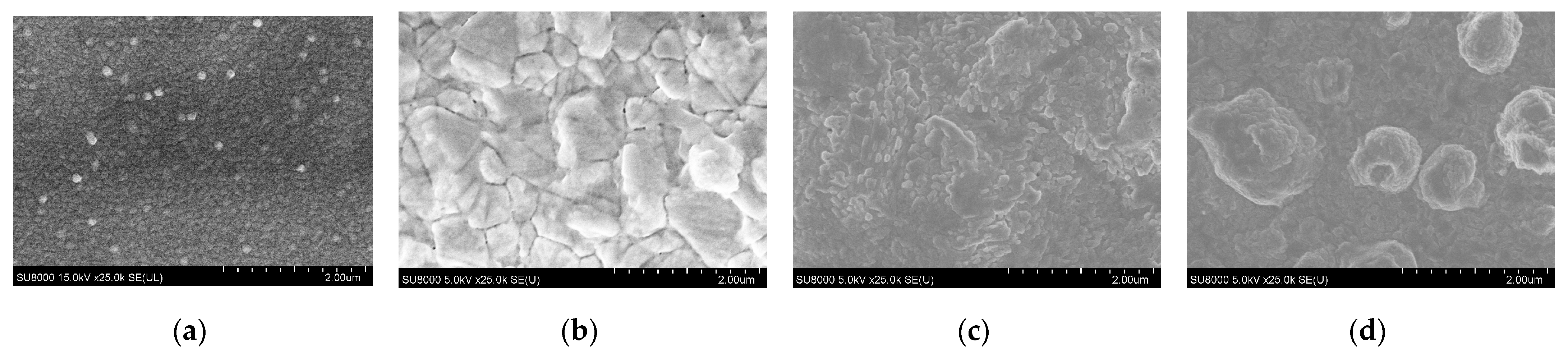 Materials 16 06289 g006