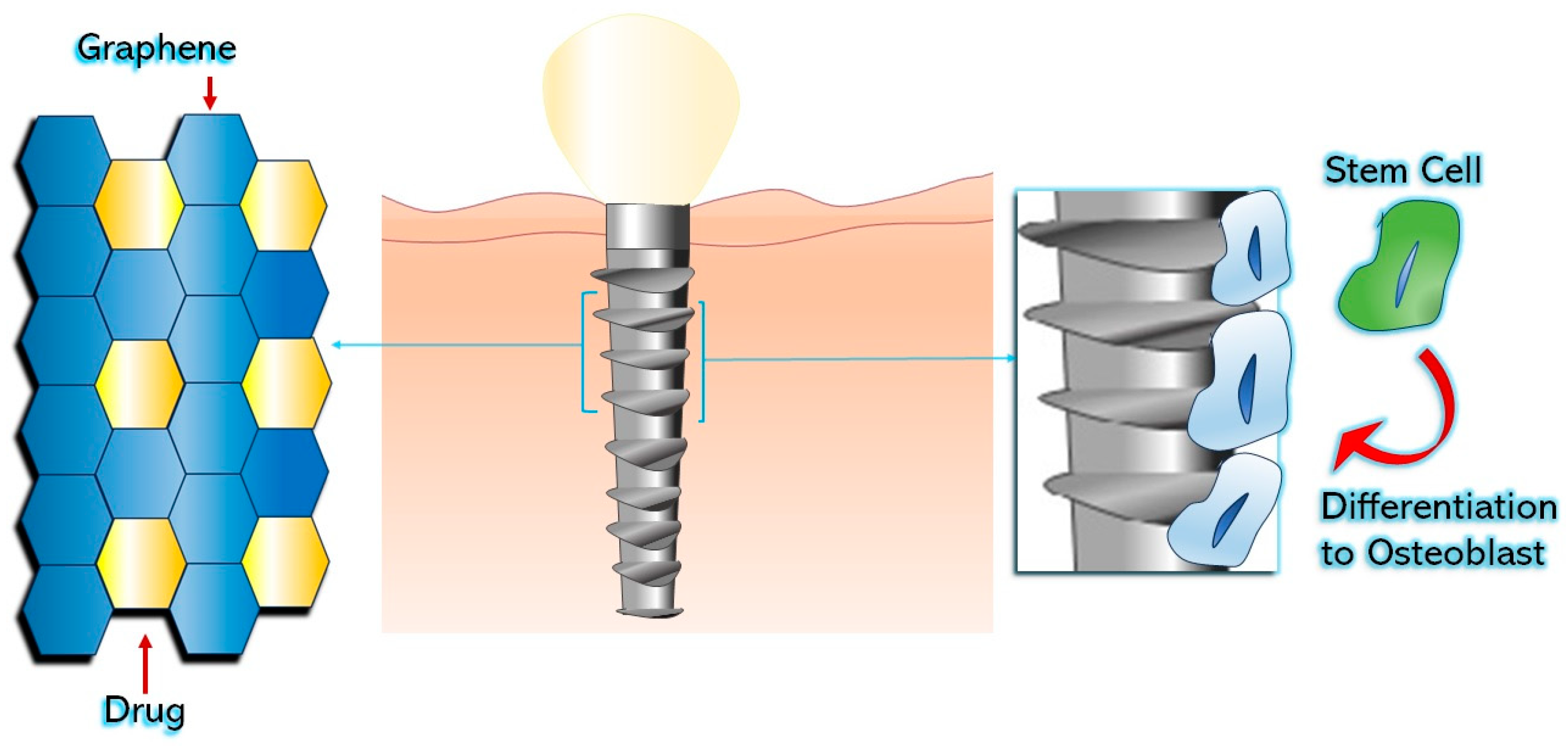 Materials 16 06293 g003