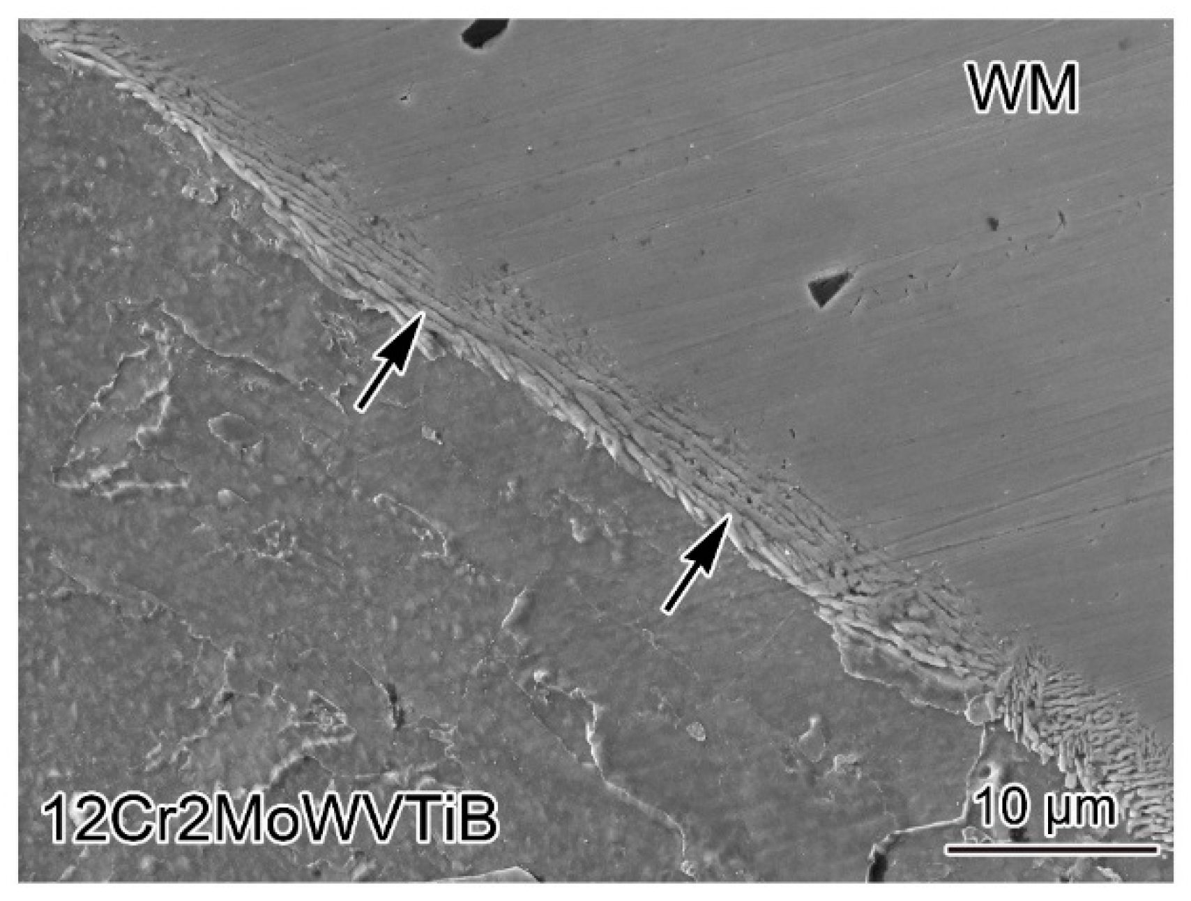 Materials 16 06294 g005