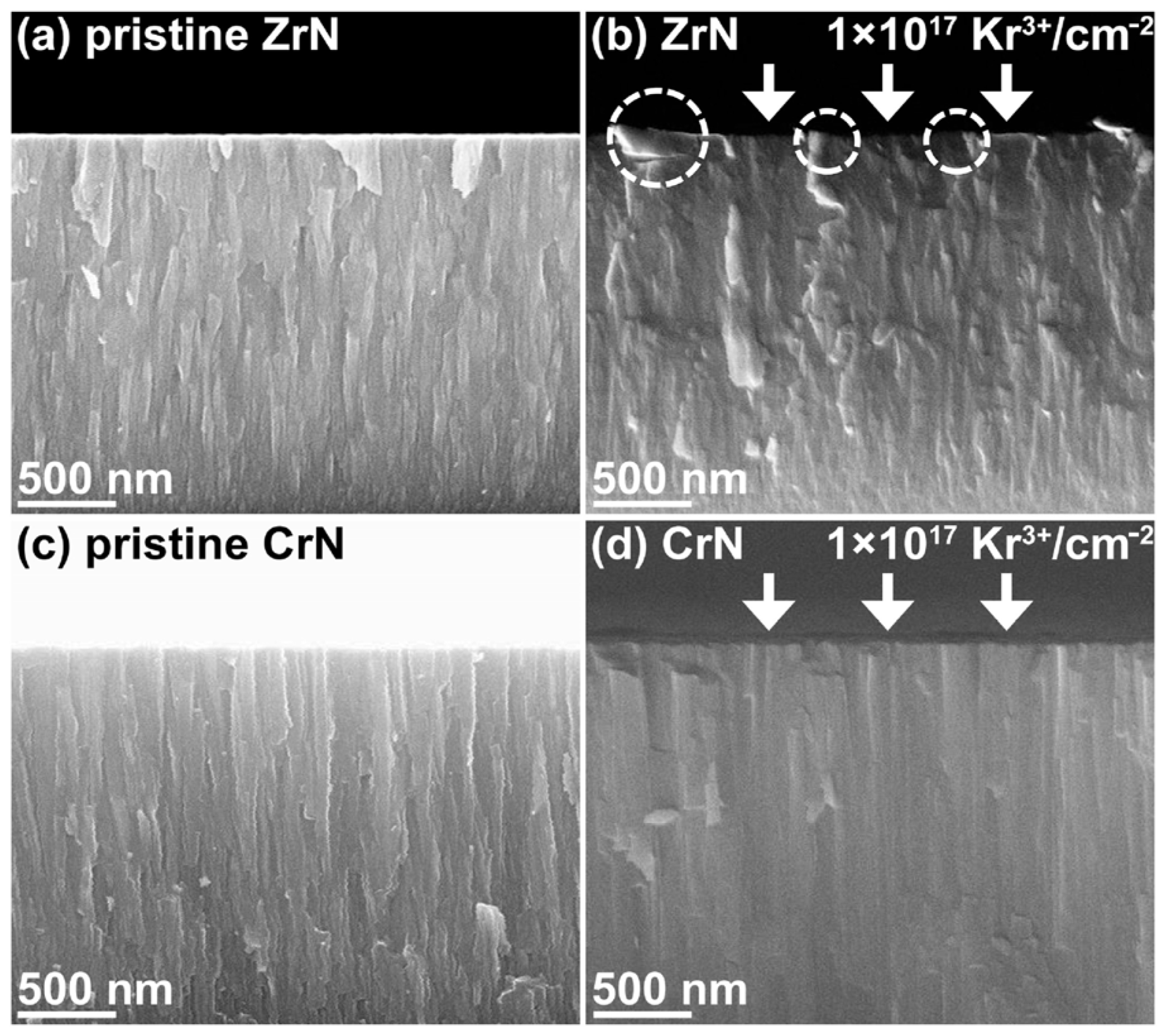 Materials 16 06303 g013