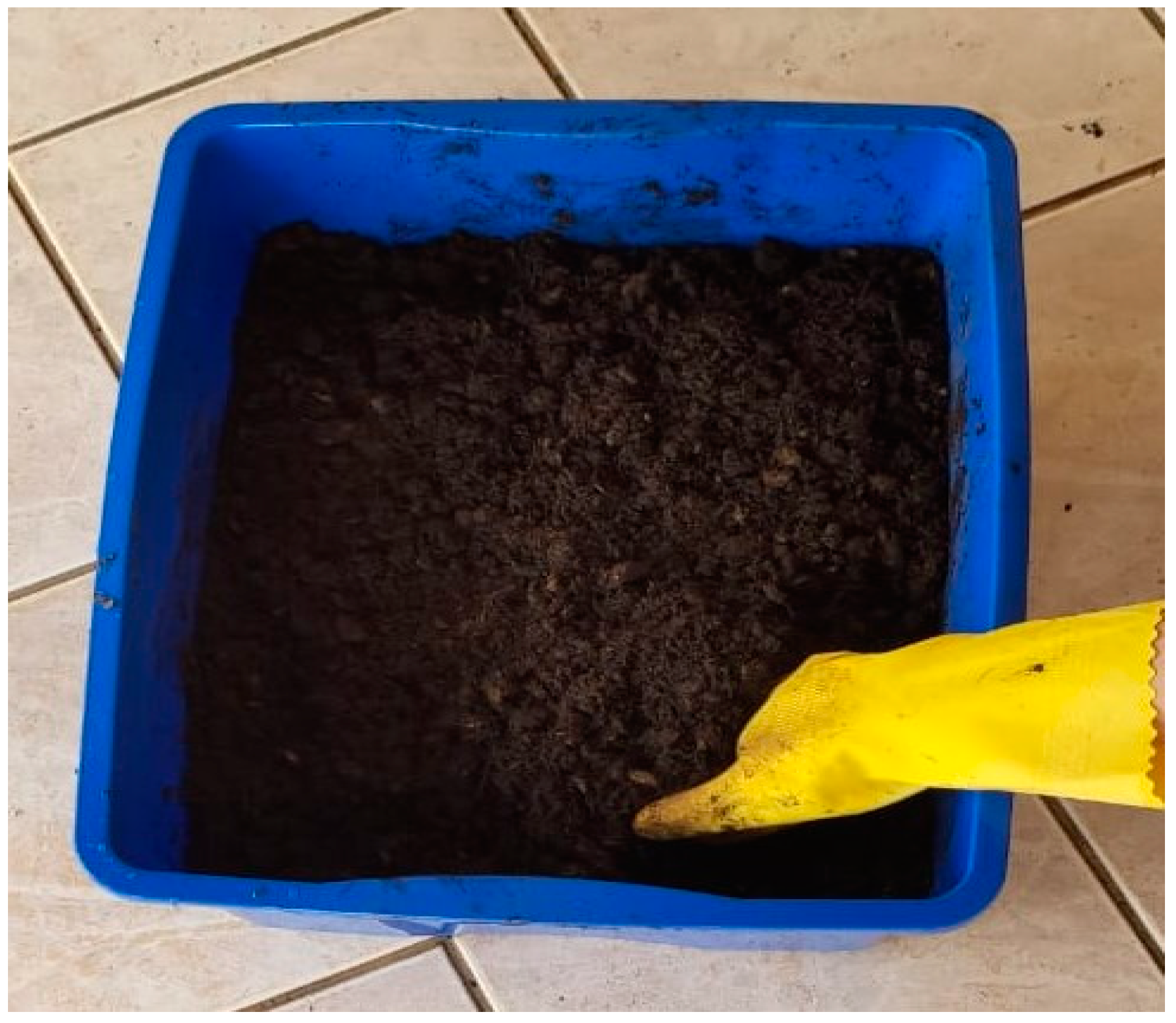 Materials 16 06305 g002