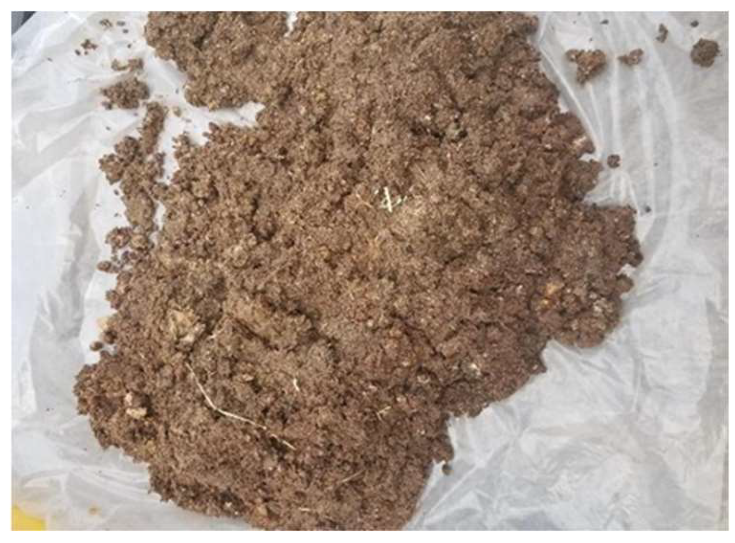 Materials 16 06314 g001