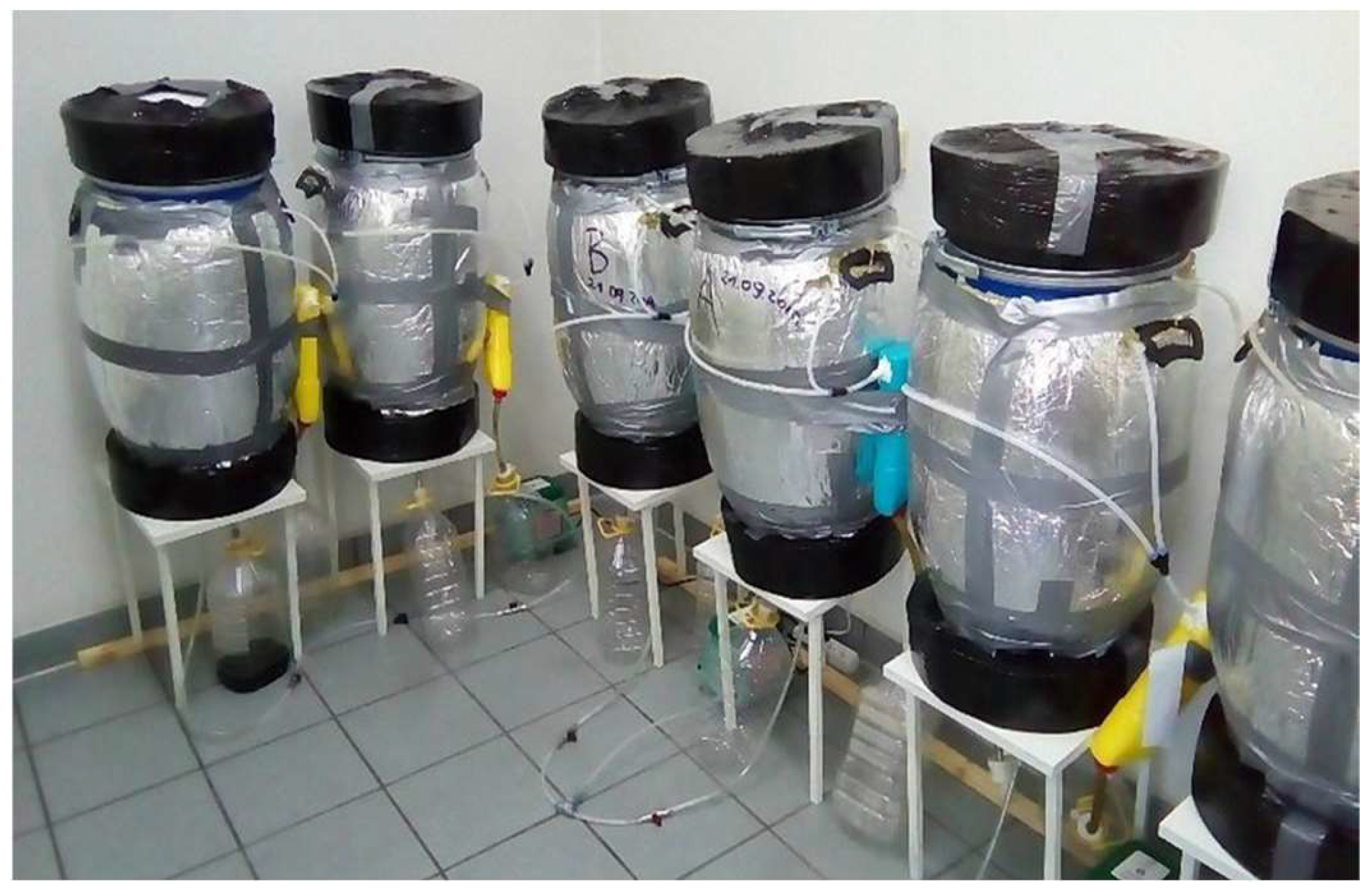 Materials 16 06314 g006