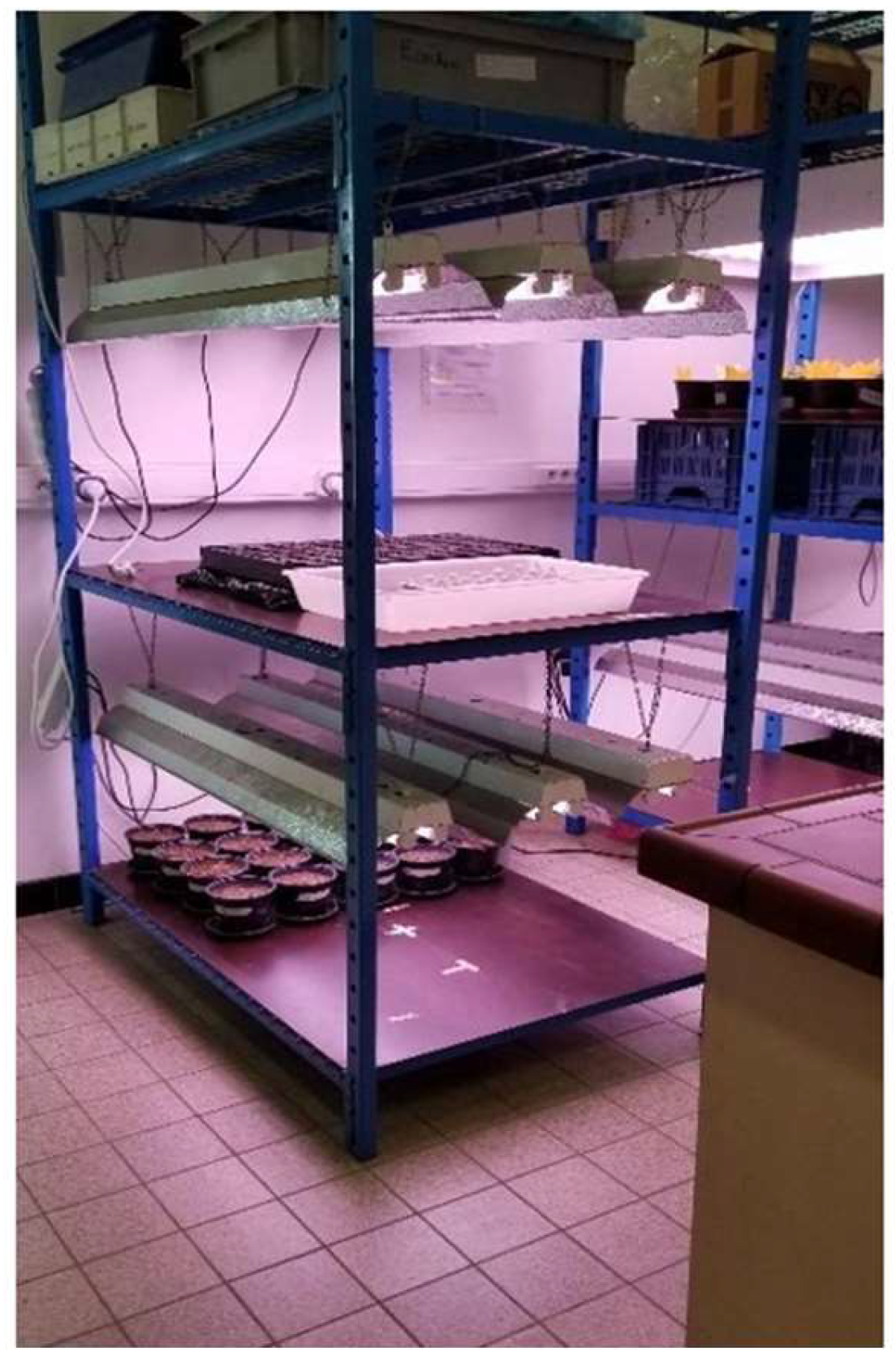 Materials 16 06314 g008