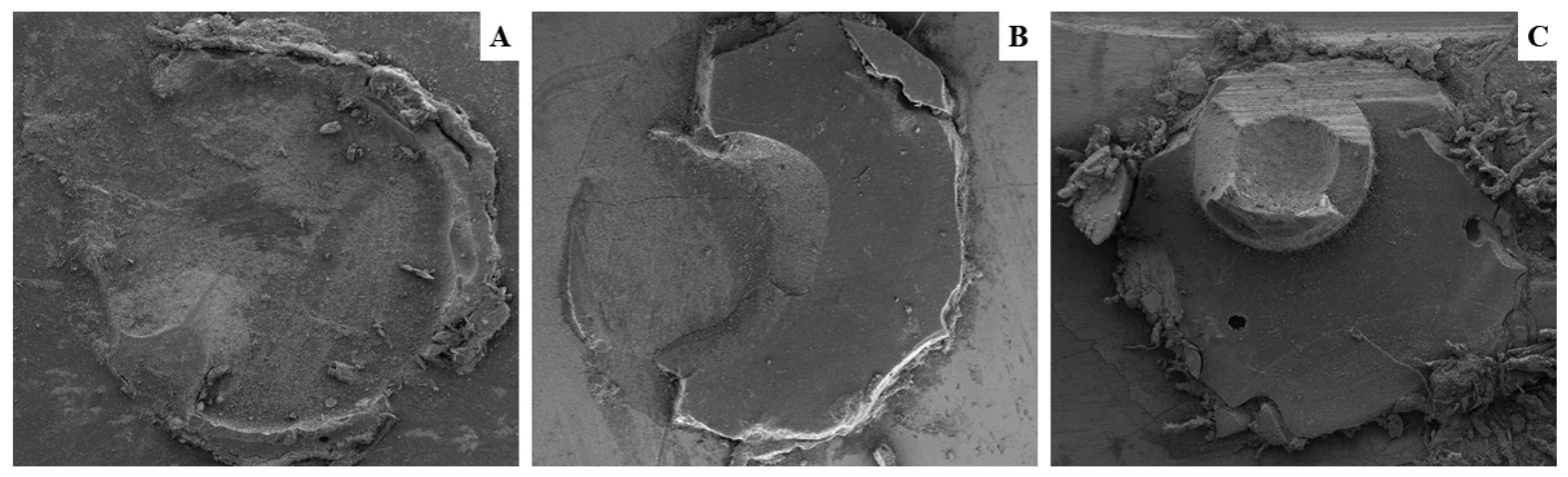 Materials 16 06328 g001