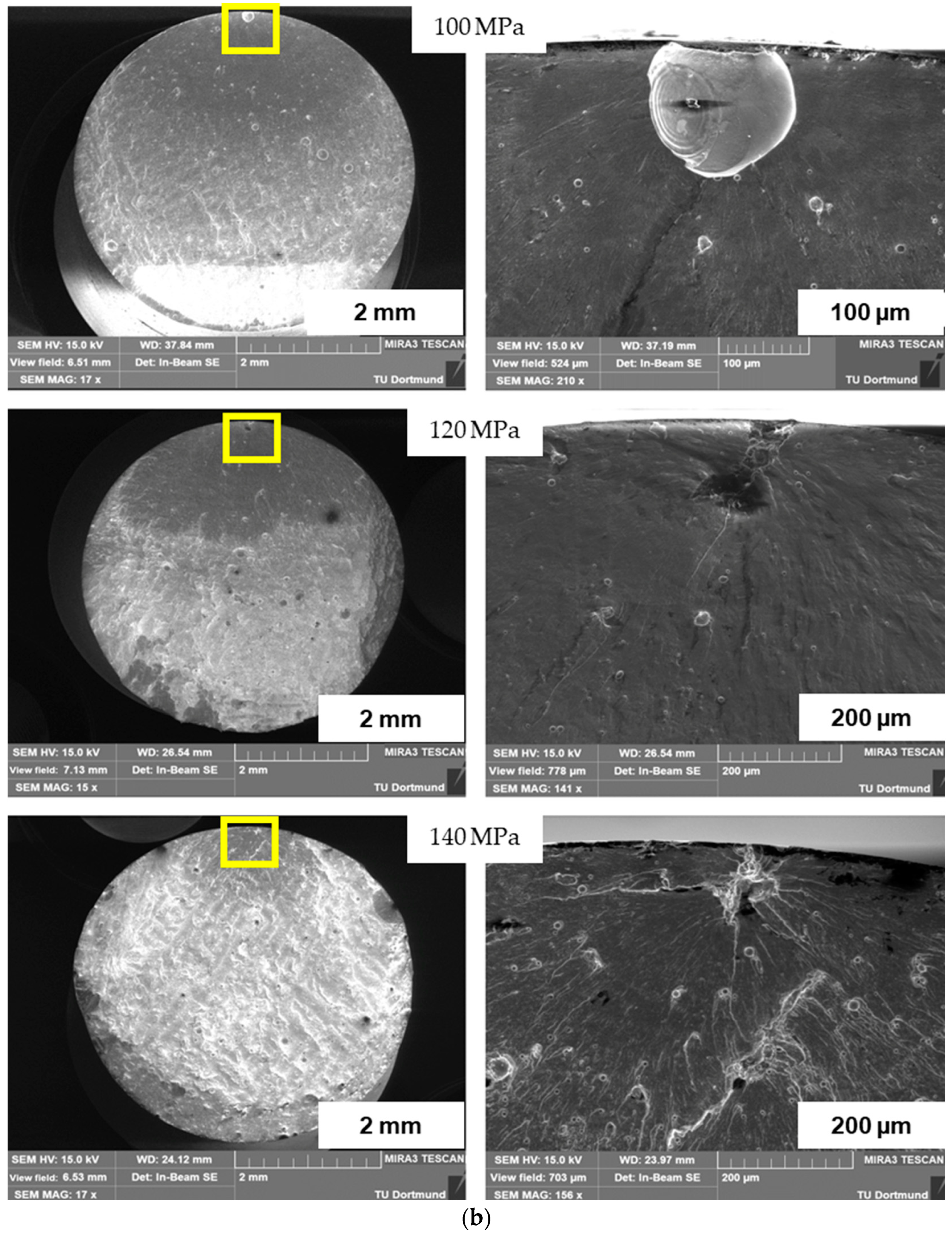 Materials 16 06334 g003b