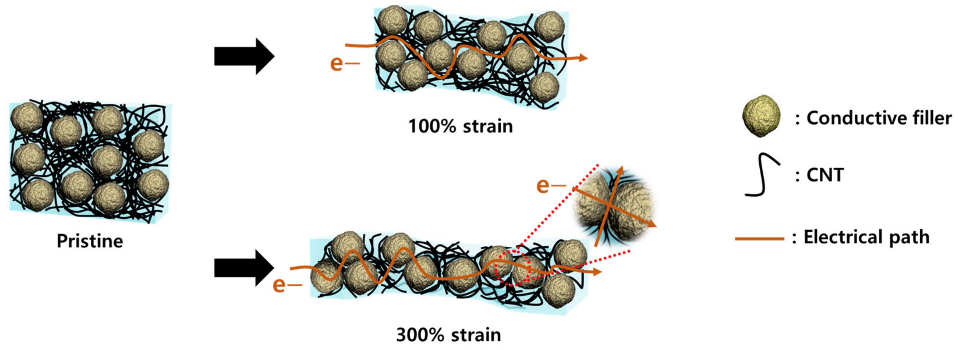 Materials 16 06335 g007