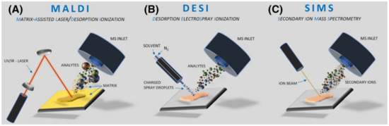 Mass Spectrometry Imaging of Biomaterials
