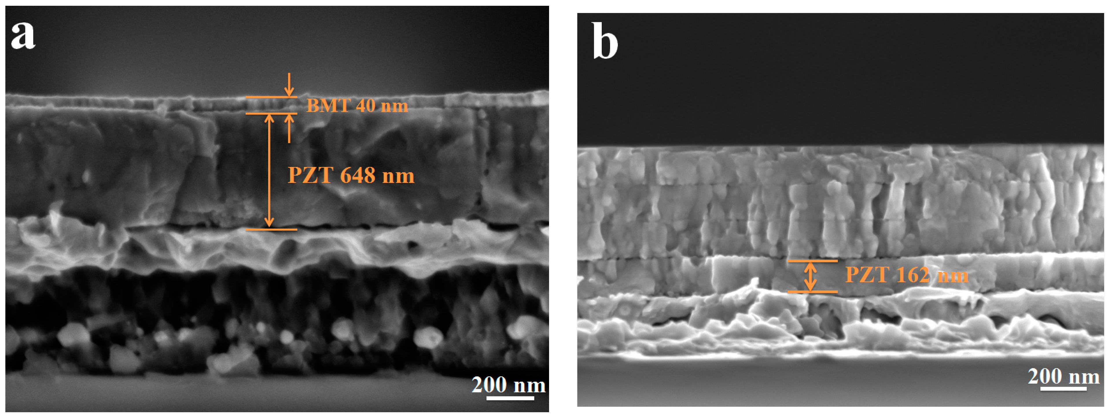 Materials 16 06358 g005