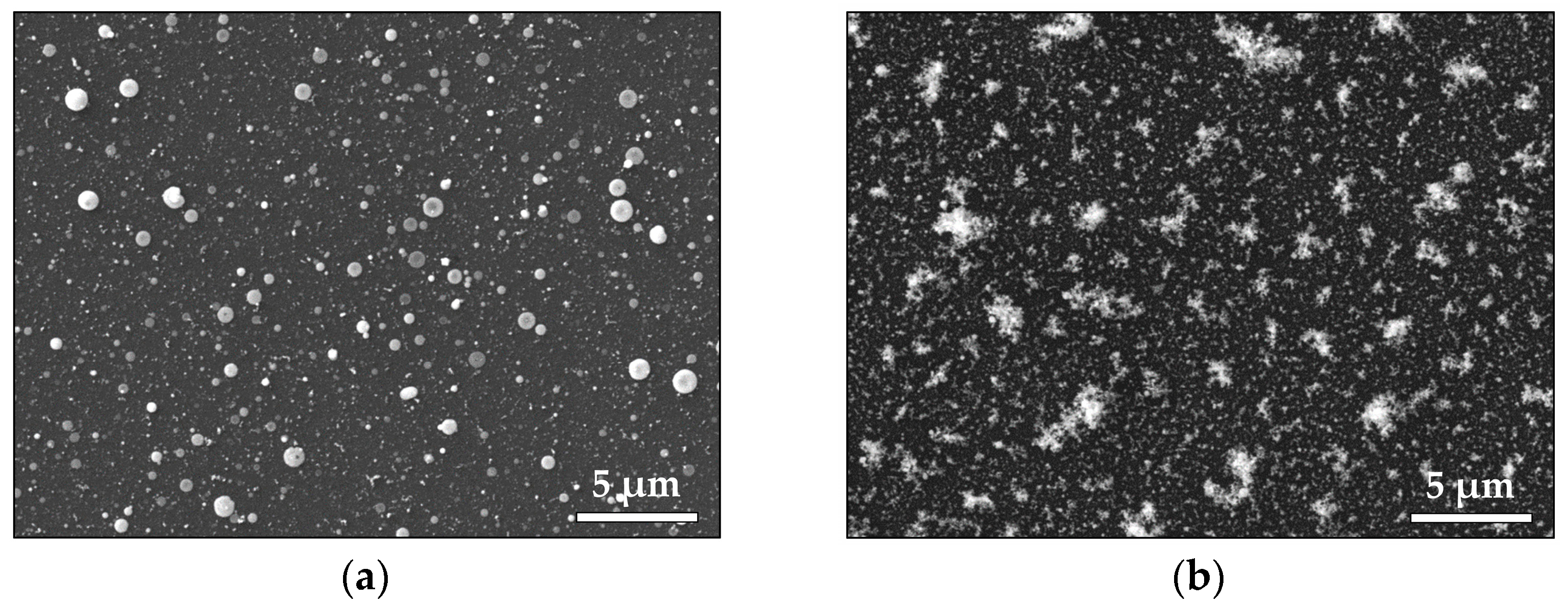 Materials 16 06364 g002