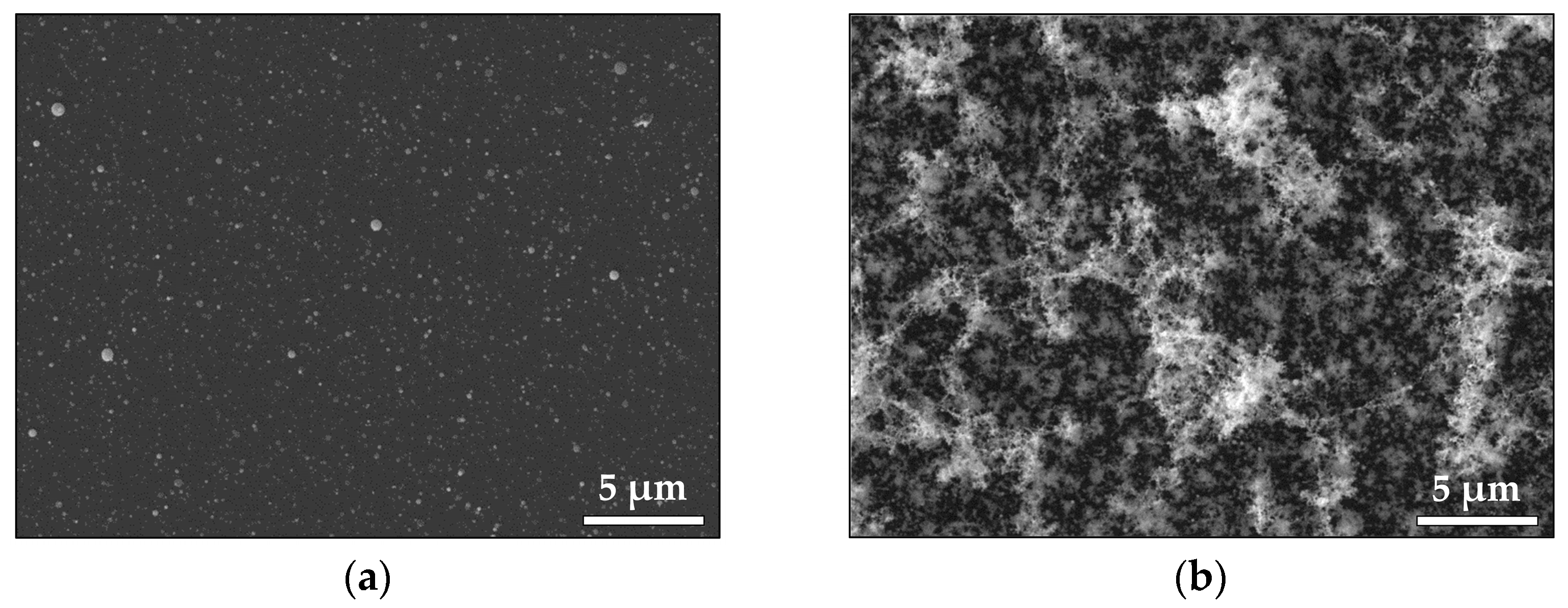 Materials 16 06364 g004