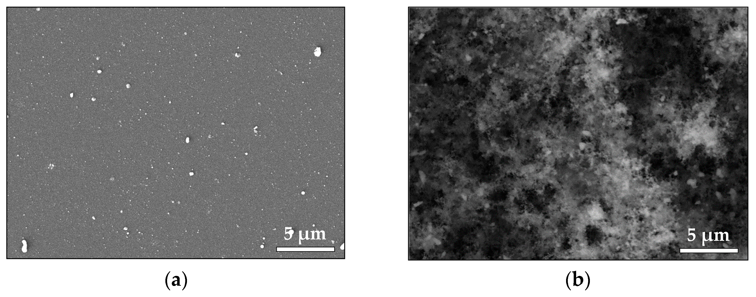 Materials 16 06364 g007