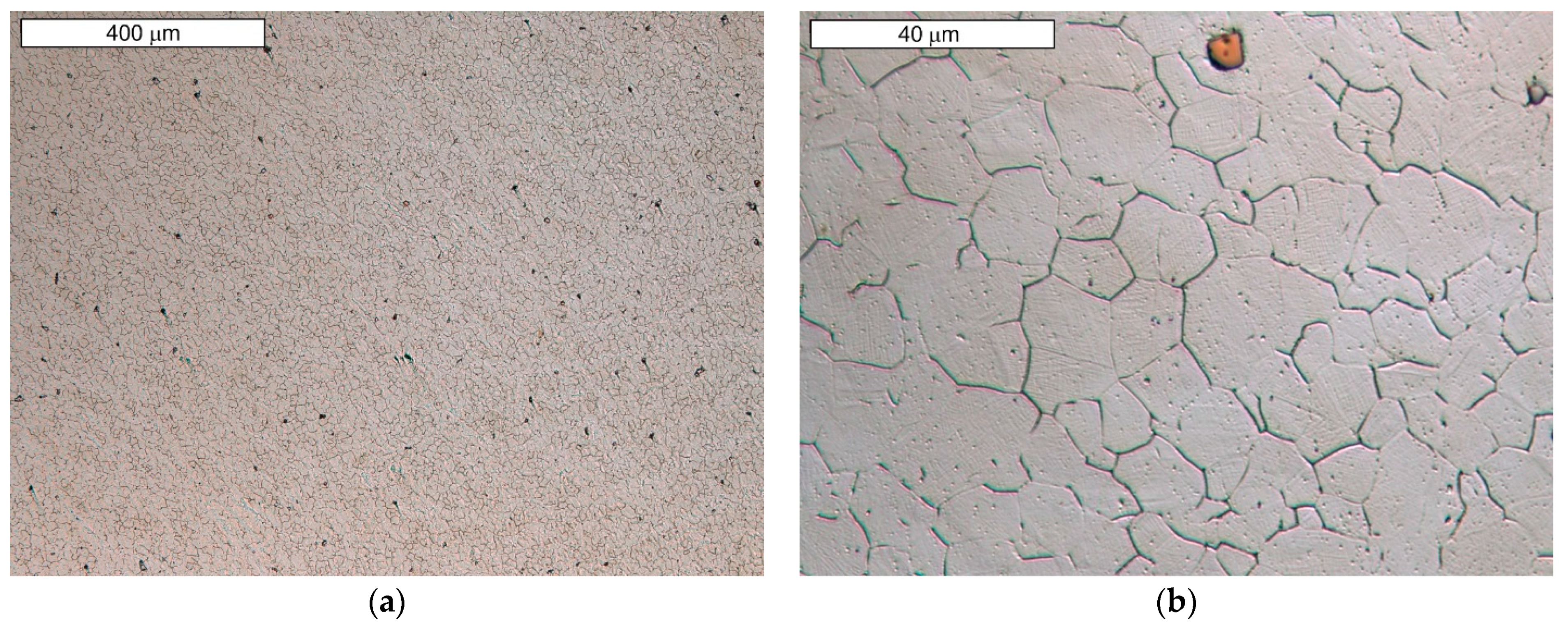 Materials 16 06370 g004