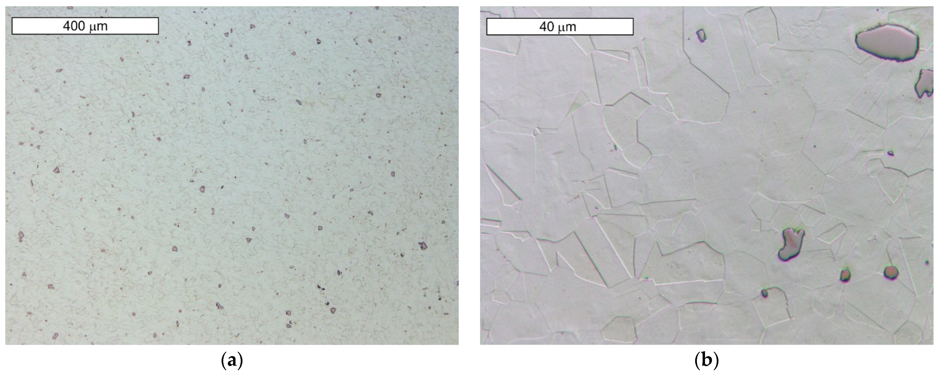 Materials 16 06370 g008