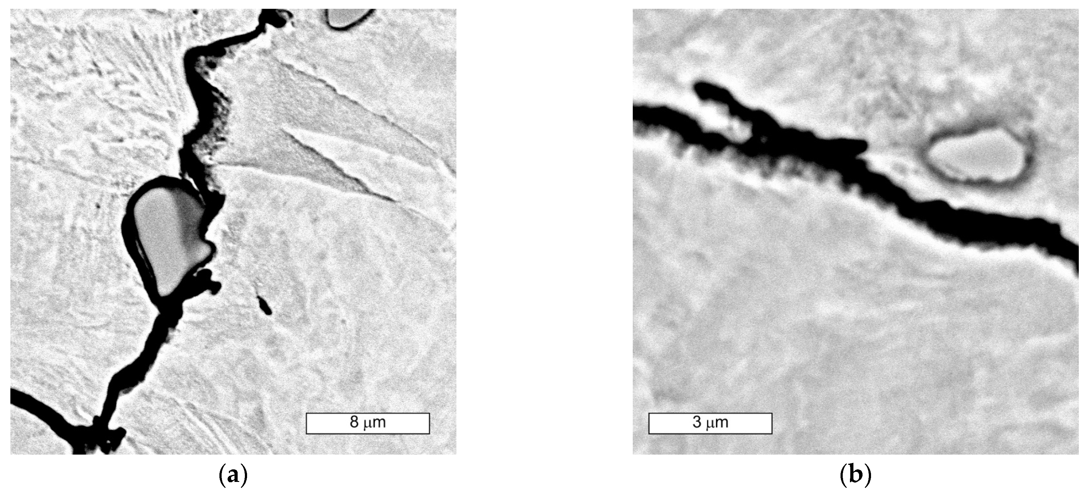 Materials 16 06370 g019