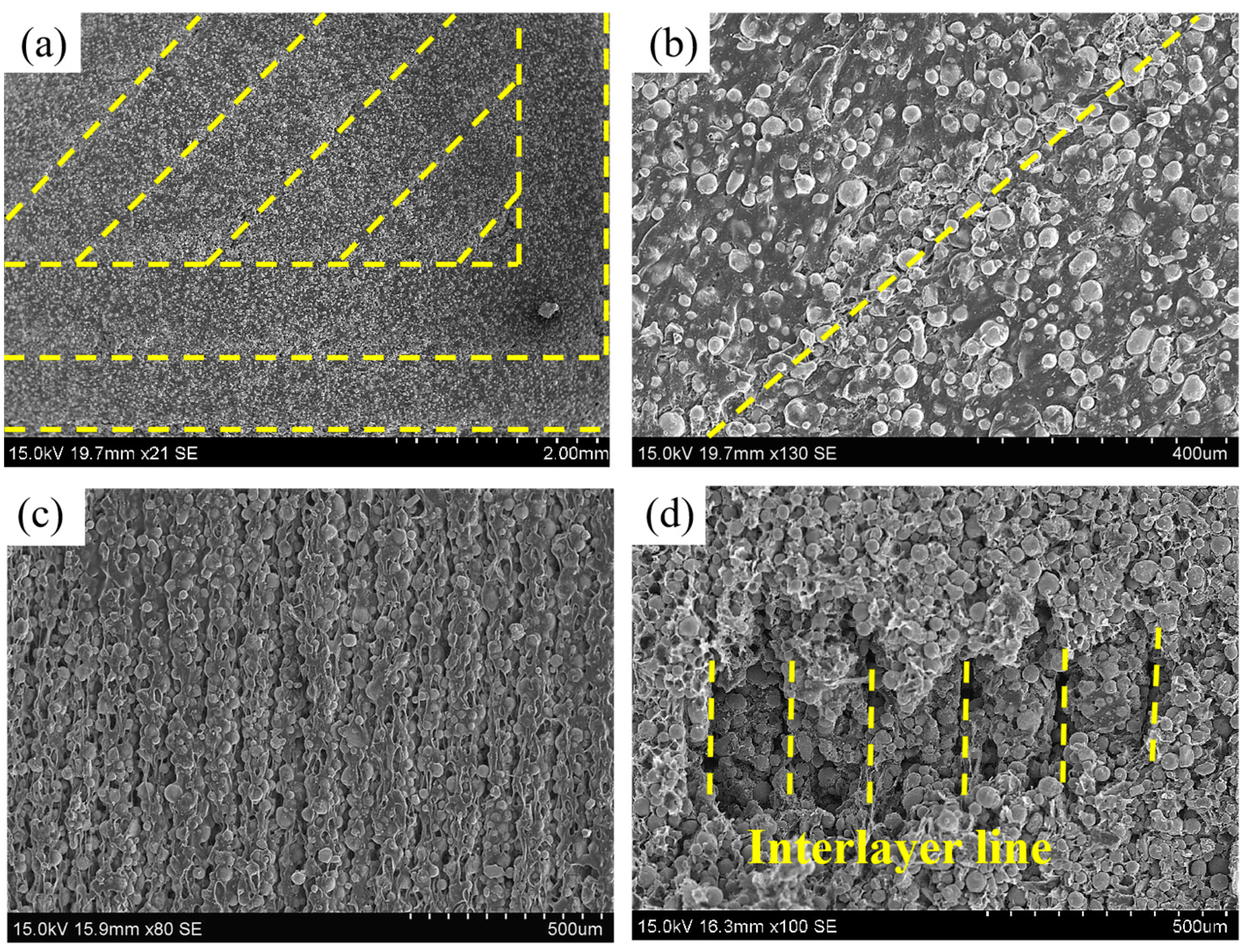Materials 16 06372 g006