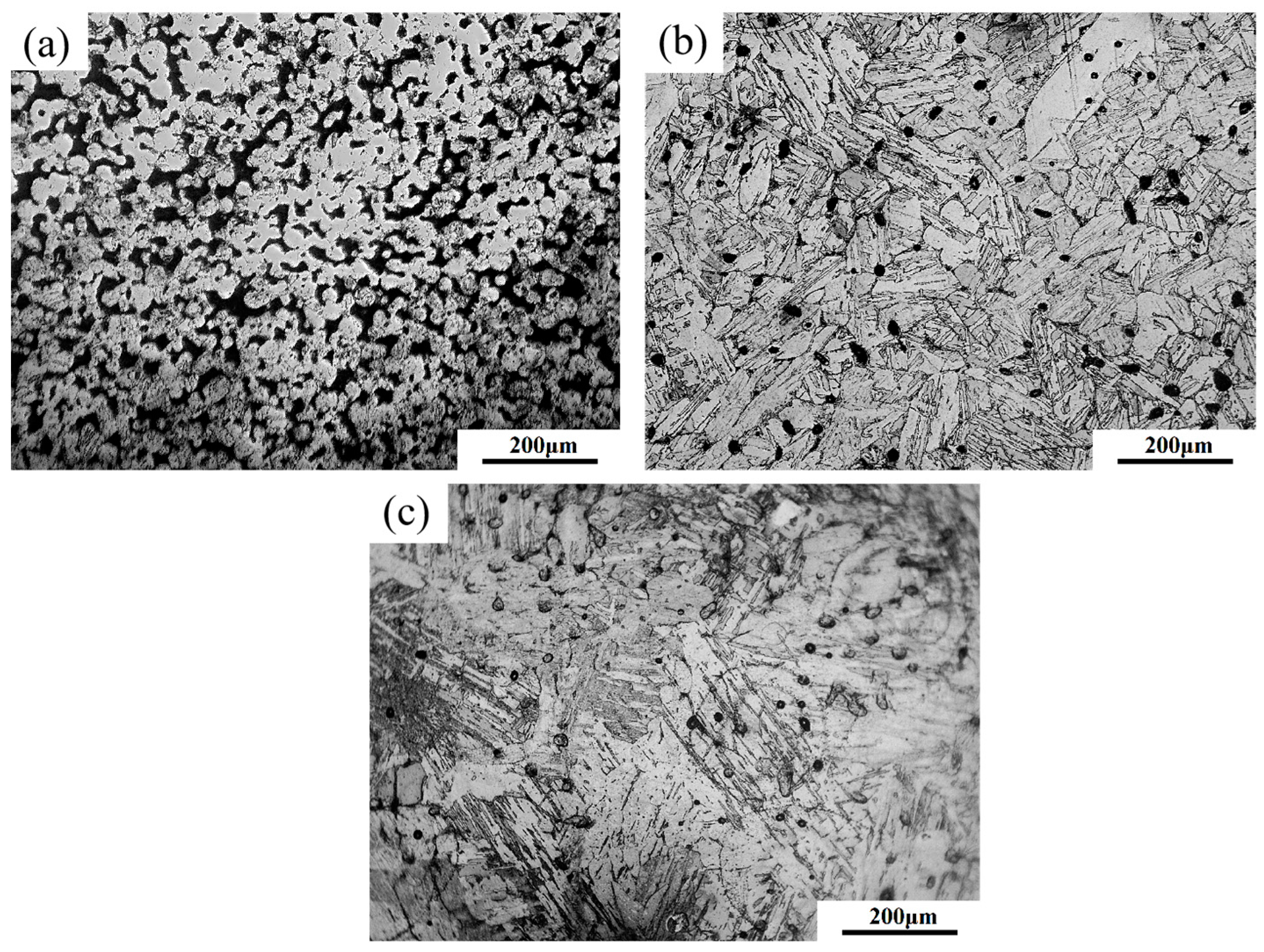 Materials 16 06372 g012