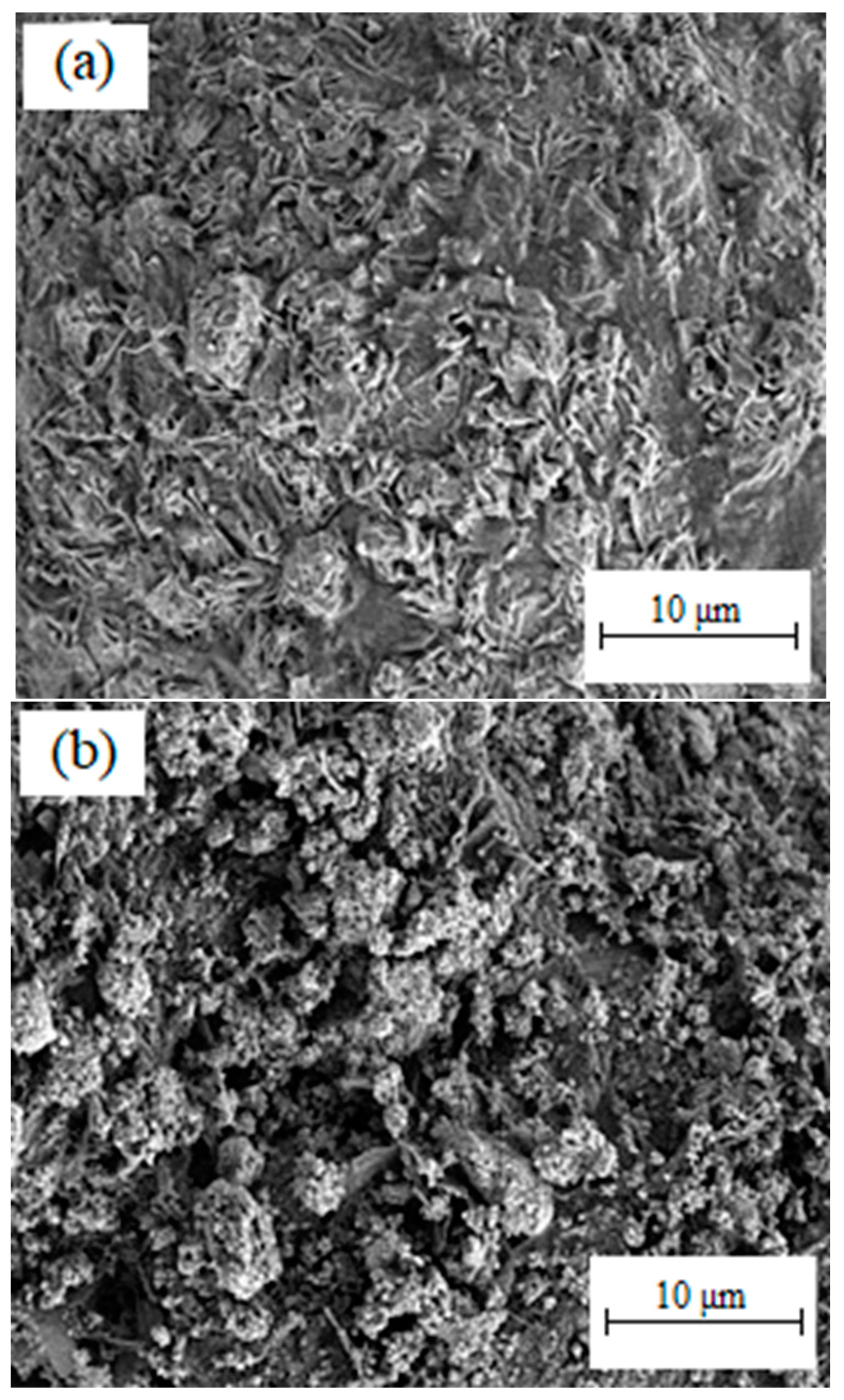 Materials 16 06375 g007