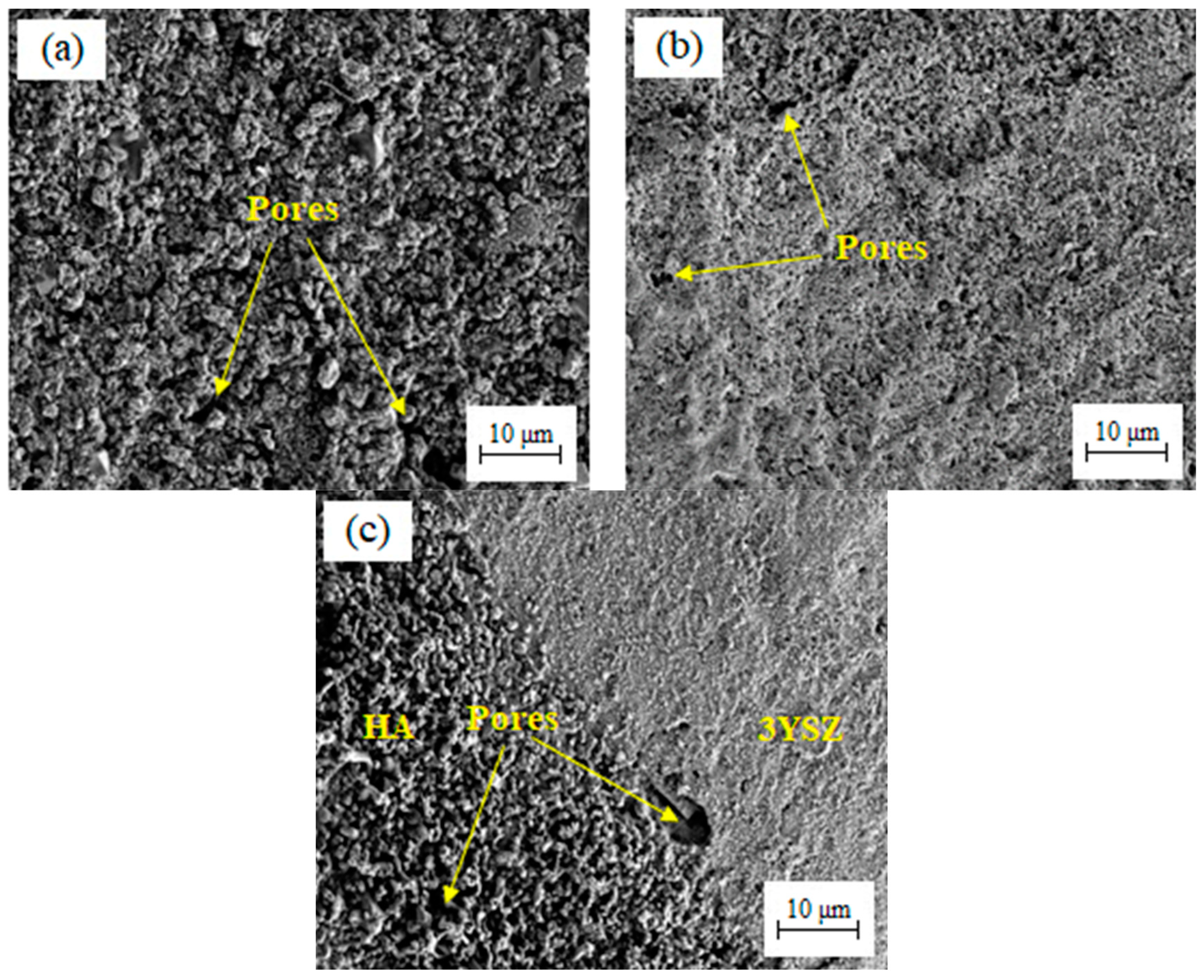 Materials 16 06375 g016