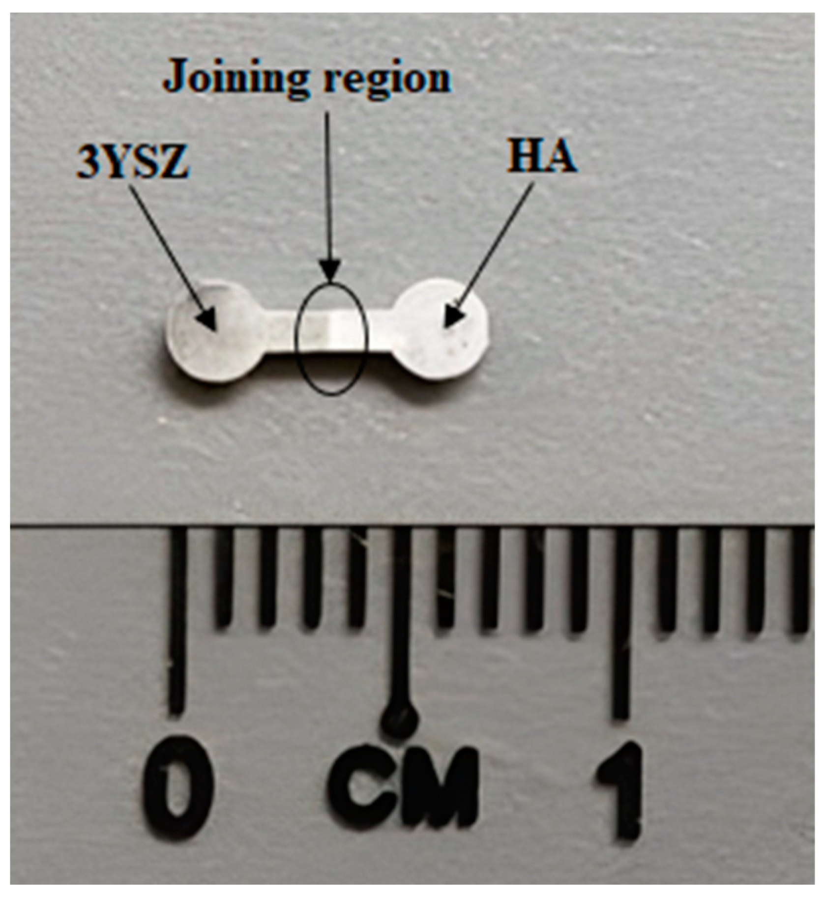 Materials 16 06375 g017
