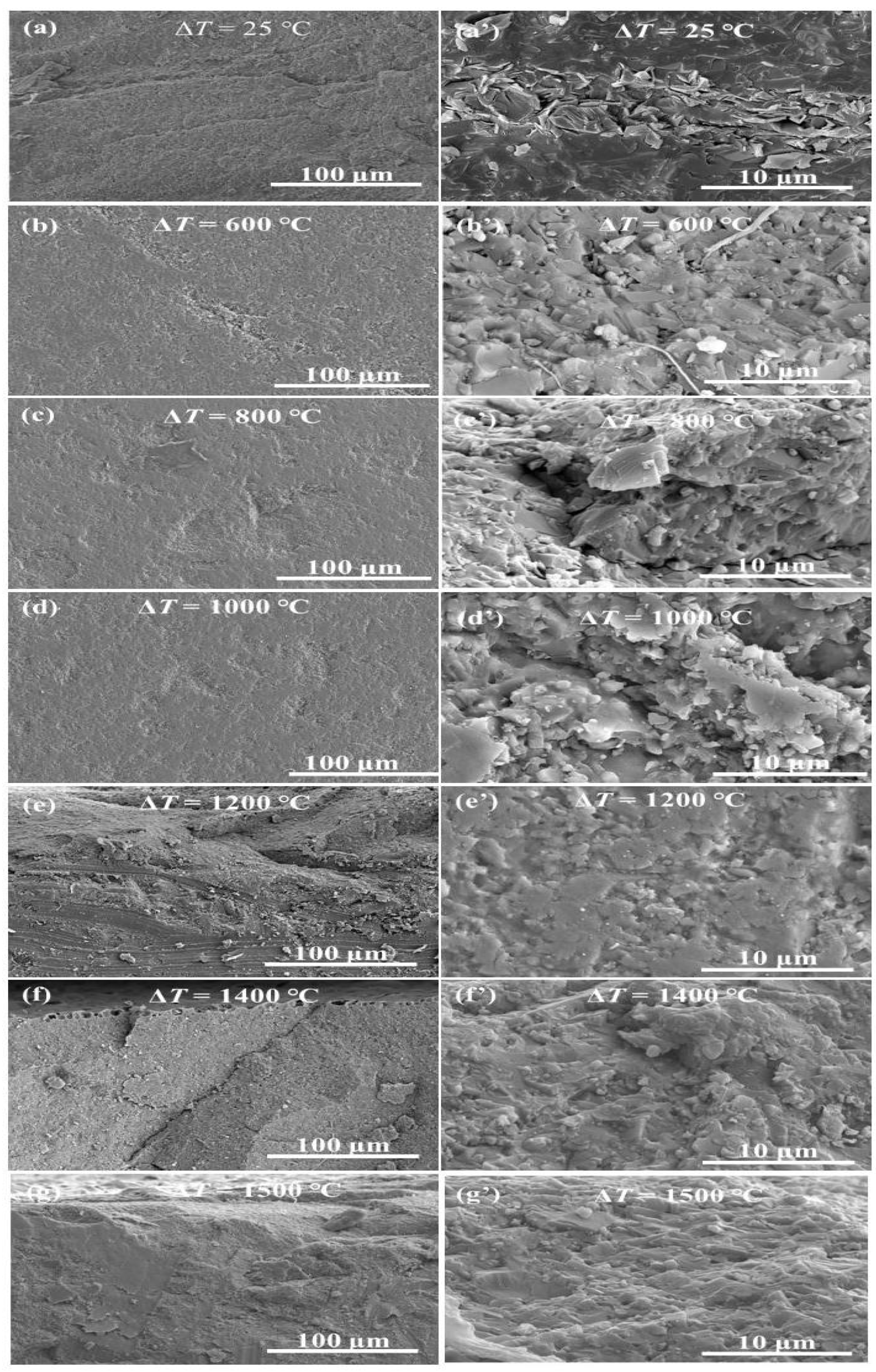 Materials 16 06377 g012