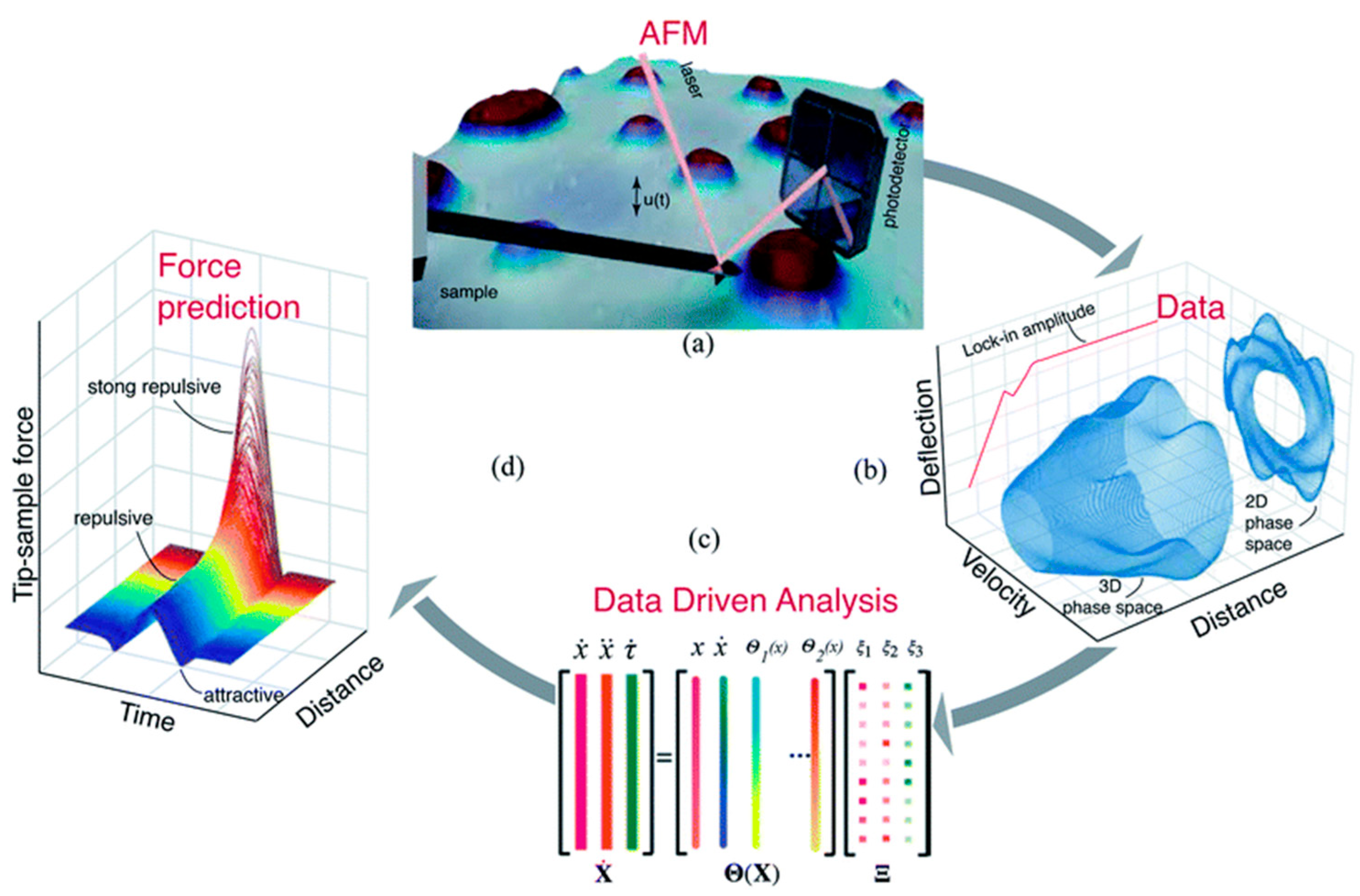 Materials 16 06379 g006