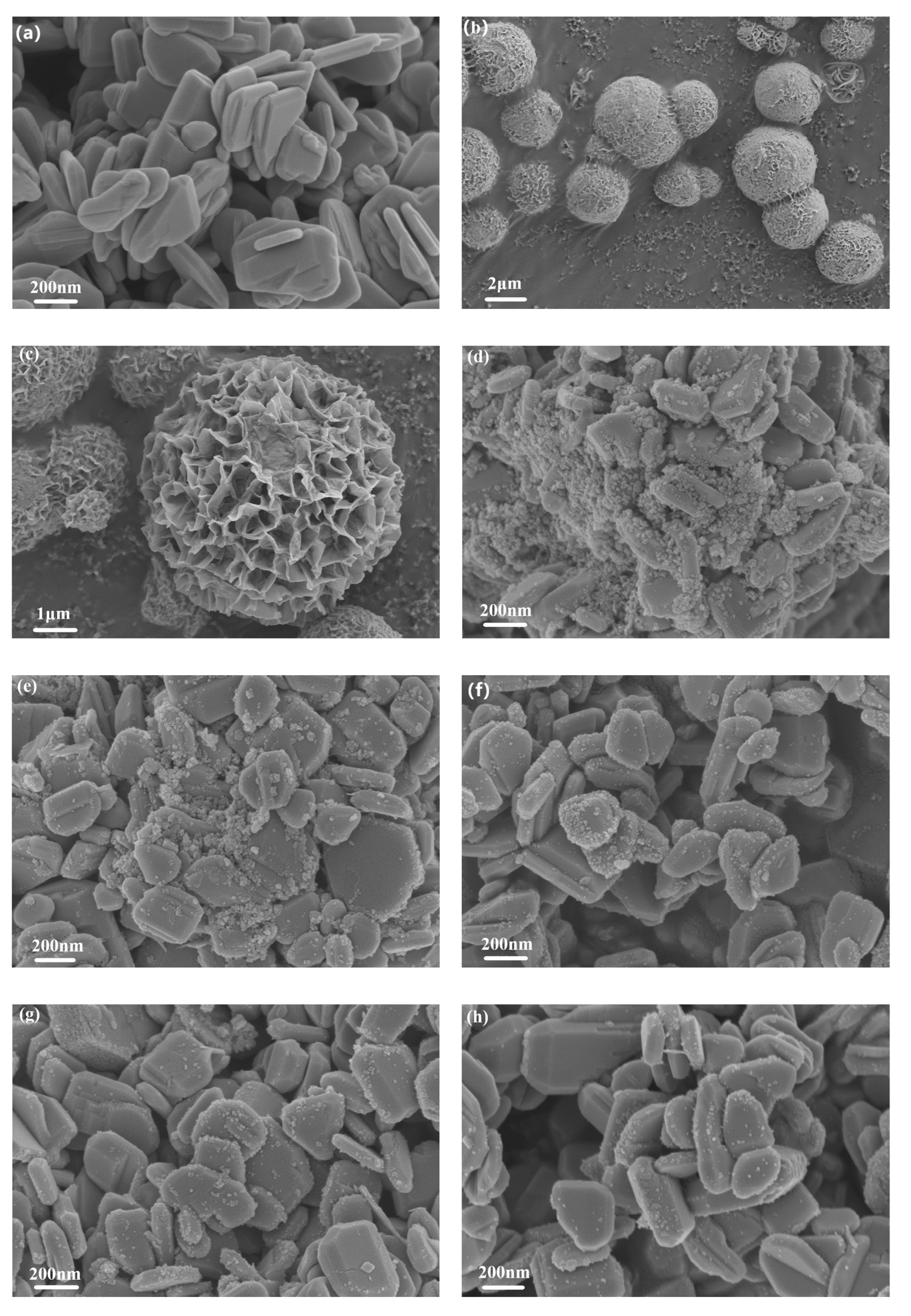 Materials 16 06380 g003