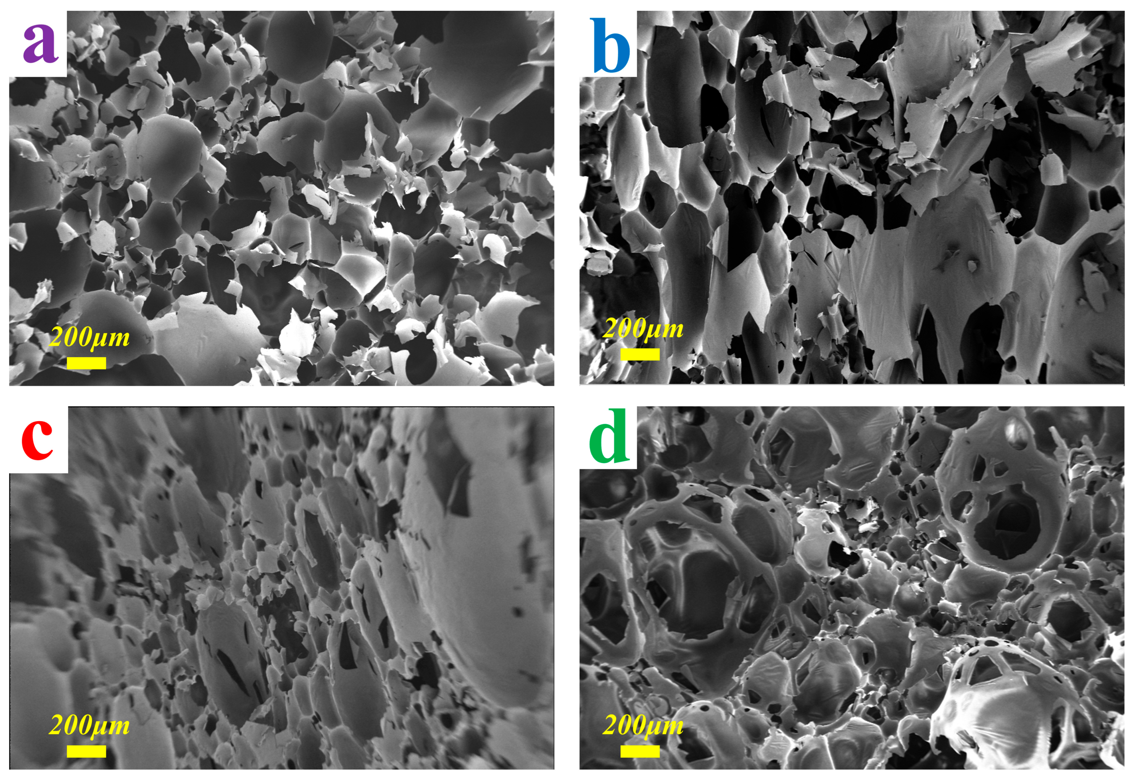 Materials 16 06384 g003