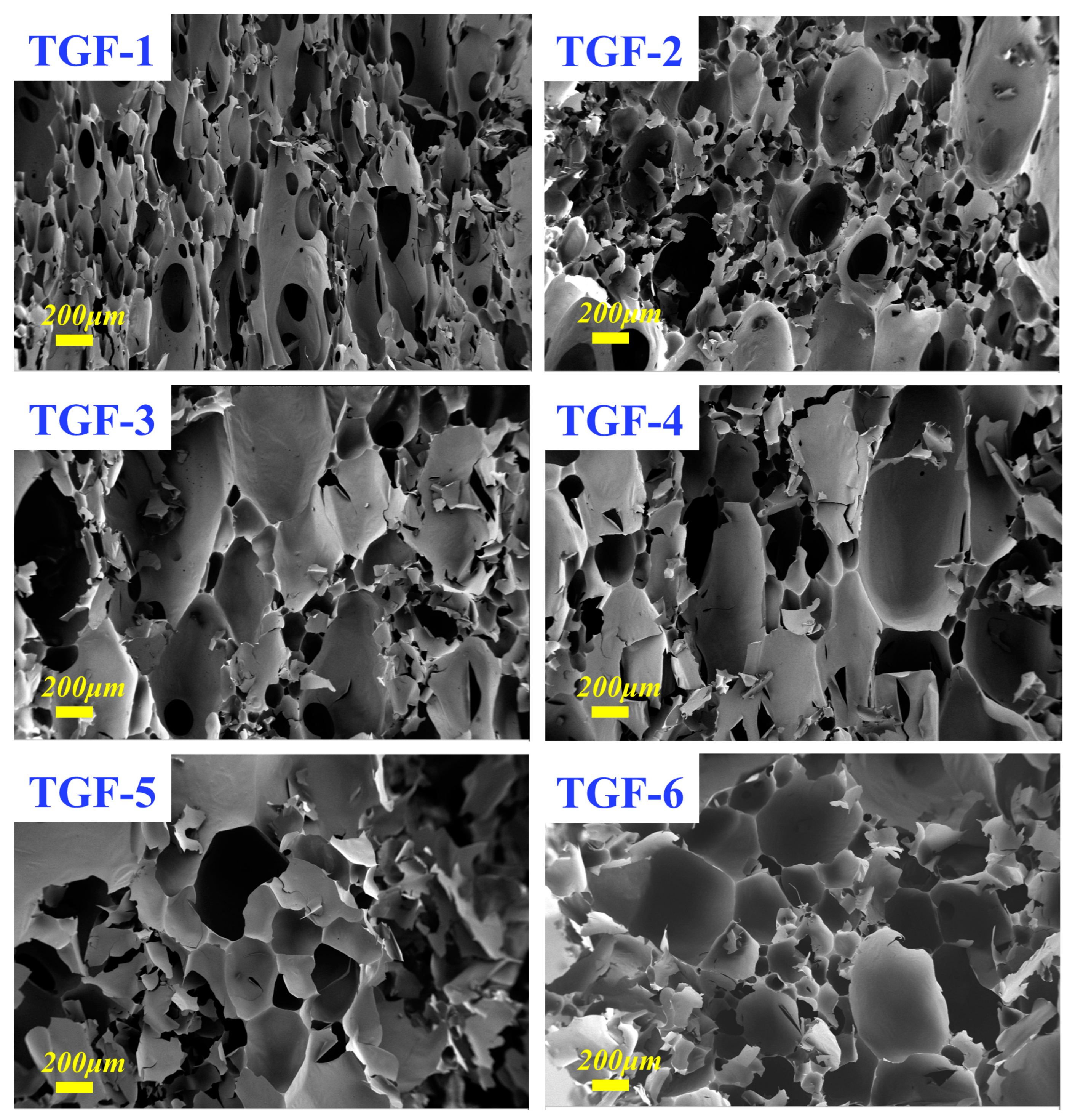 Materials 16 06384 g006