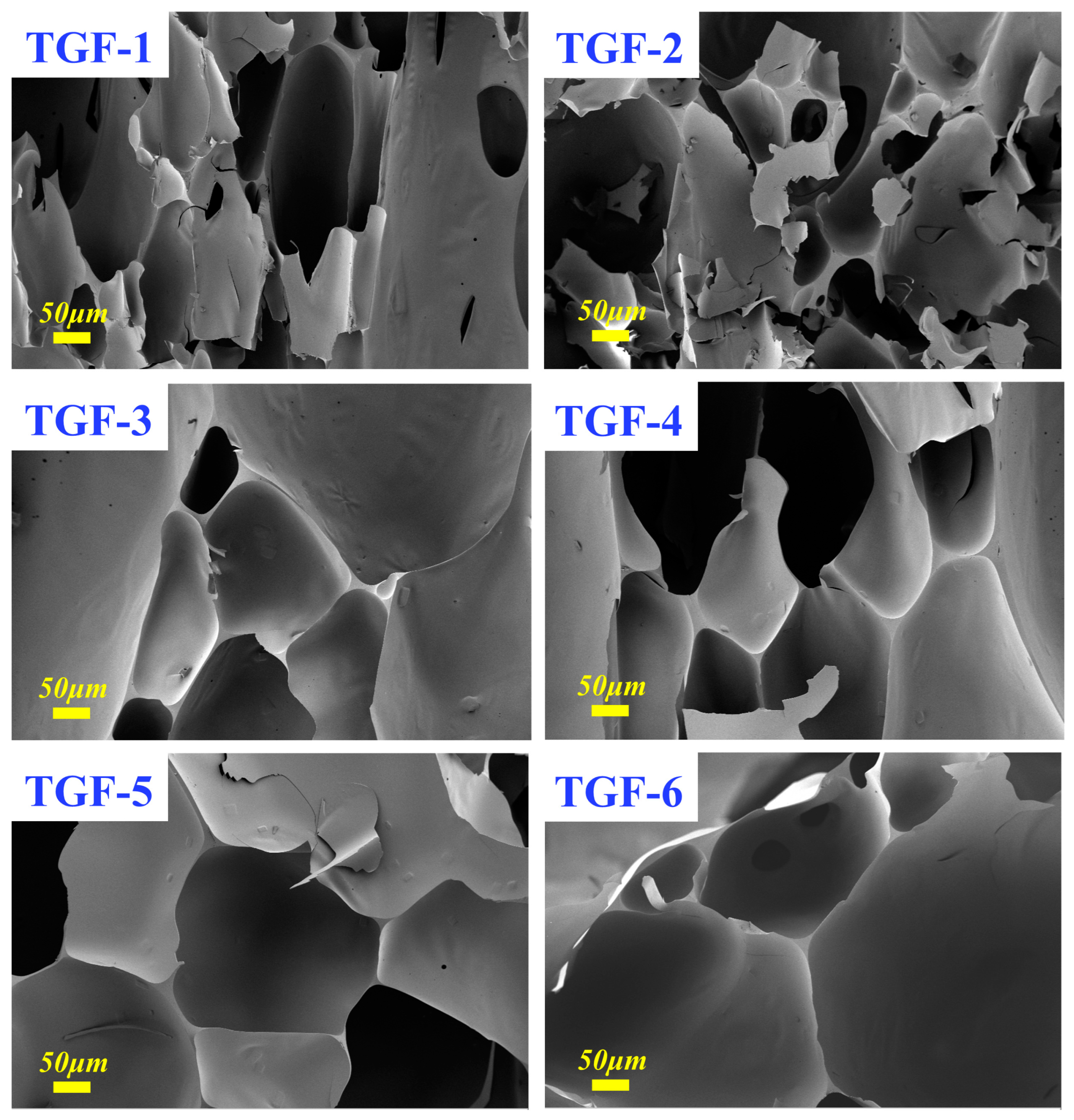 Materials 16 06384 g007