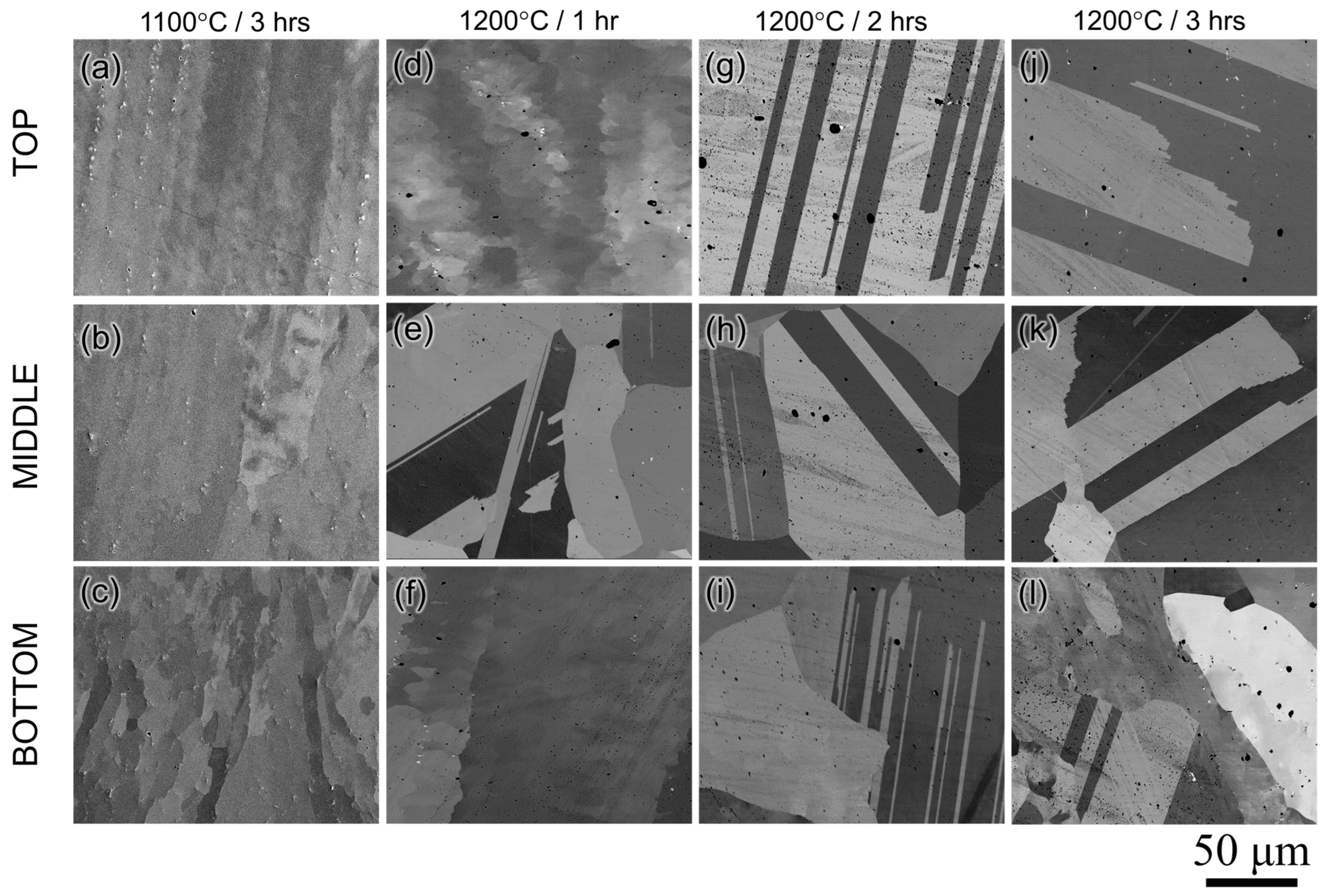 Materials 16 06388 g008