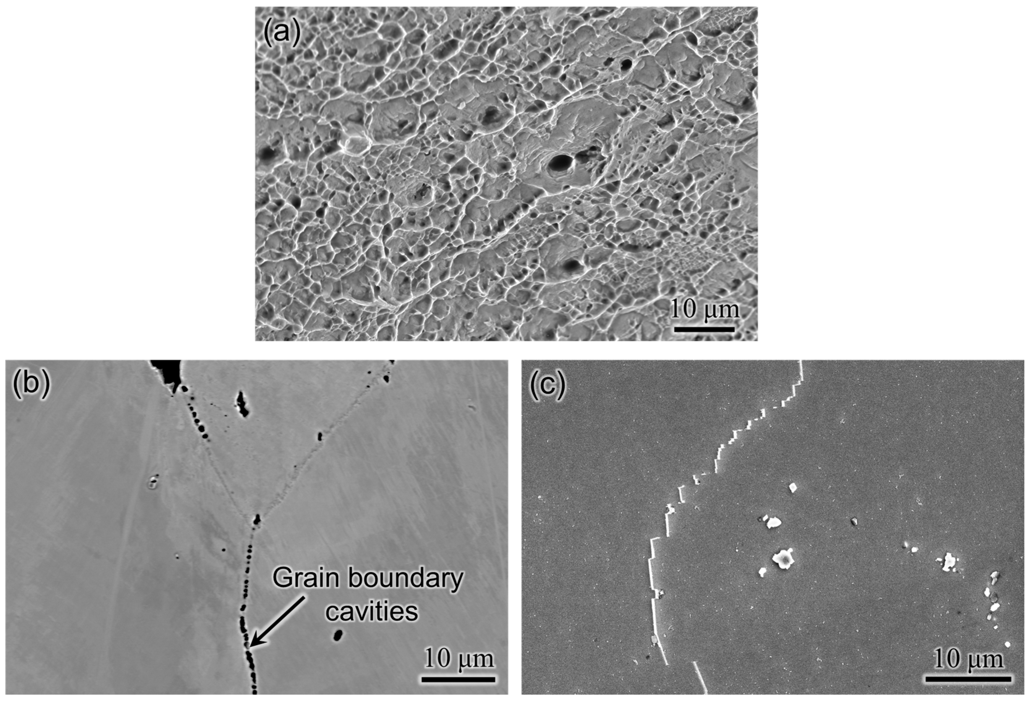 Materials 16 06388 g011