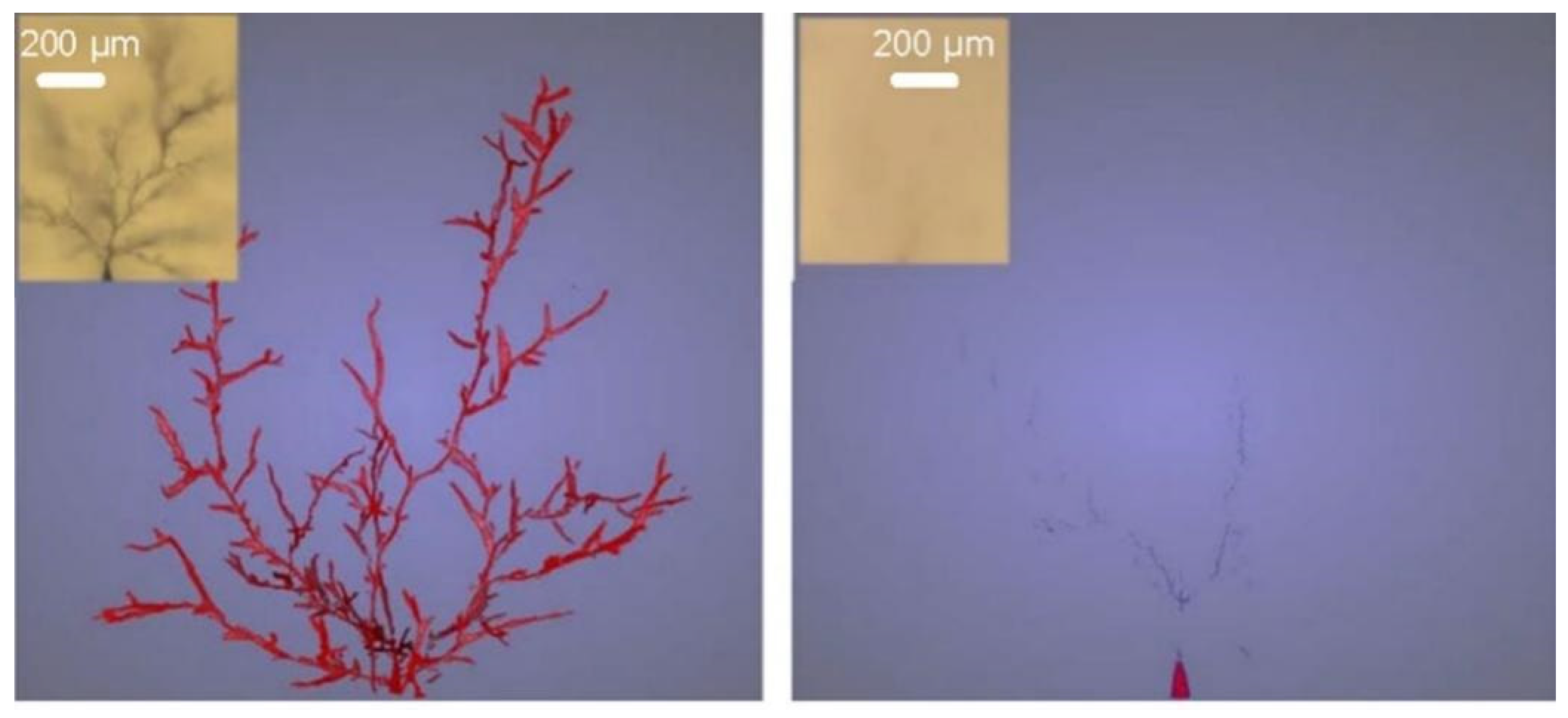 Materials 16 06394 g004