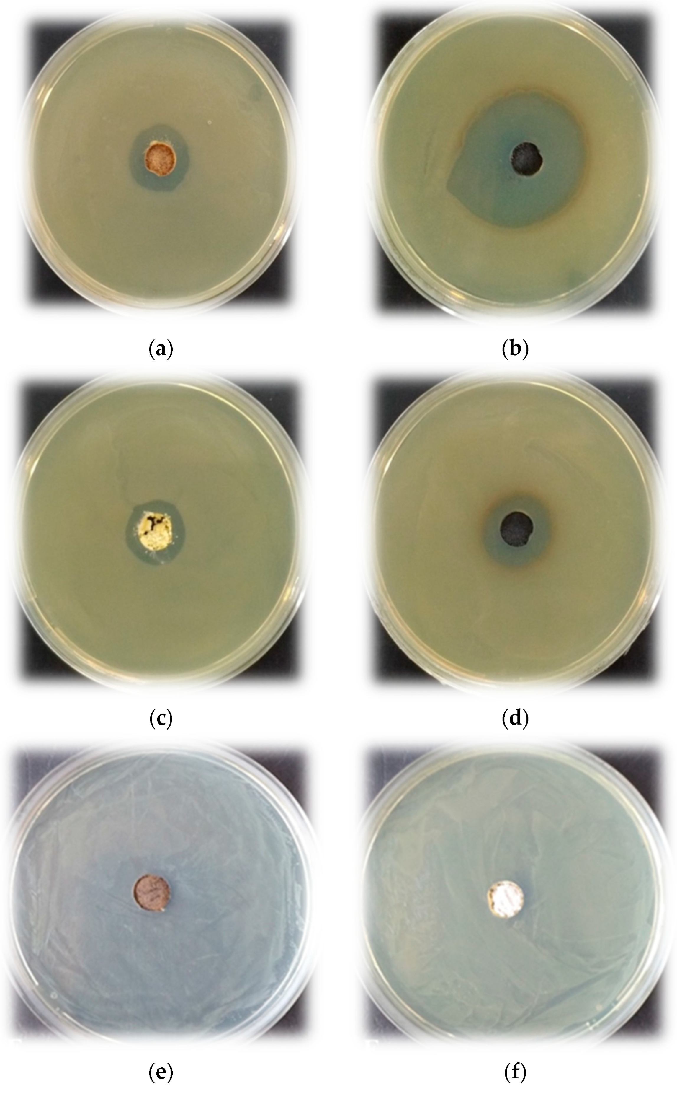 Materials 16 06400 g007