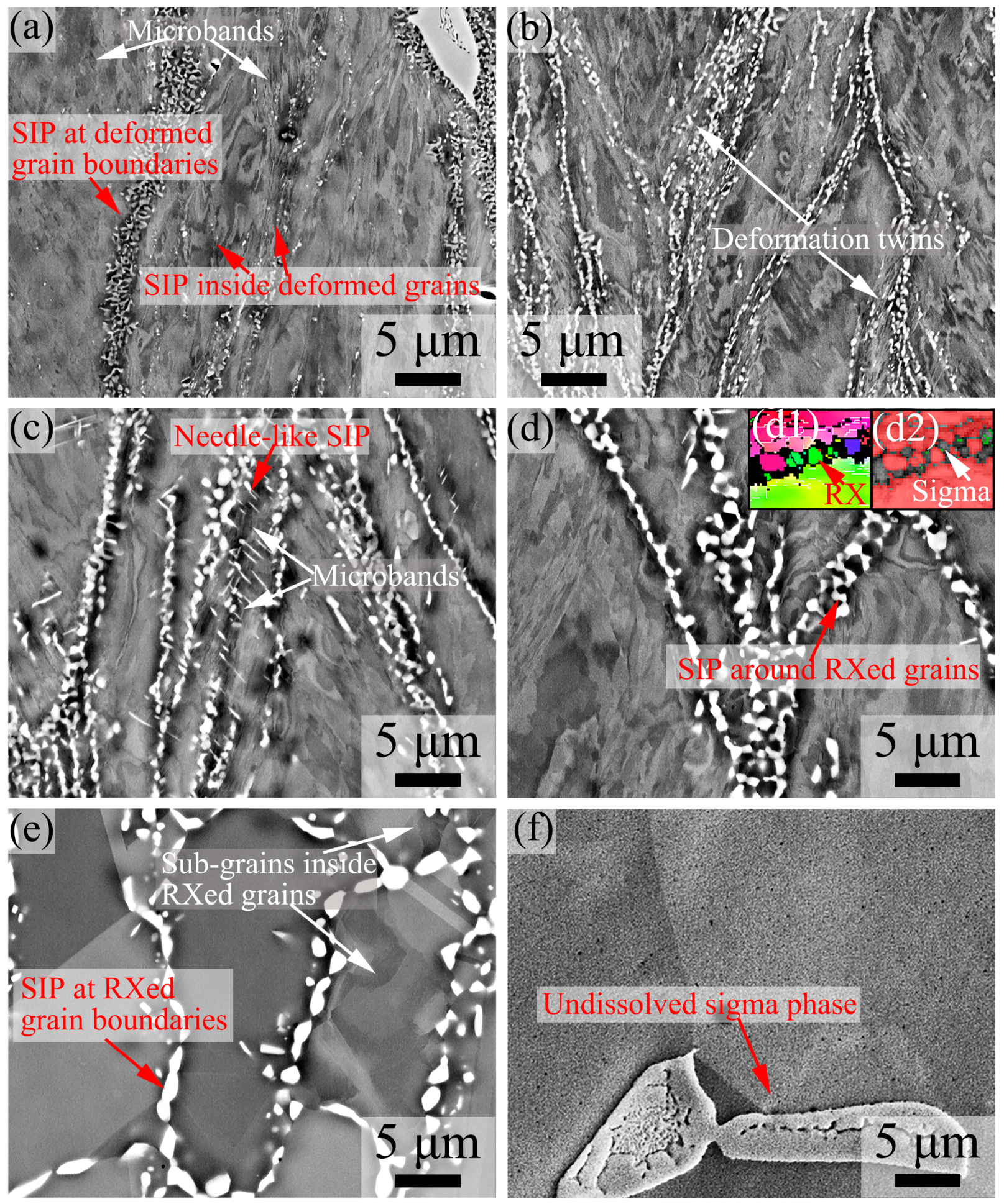 Materials 16 06401 g006