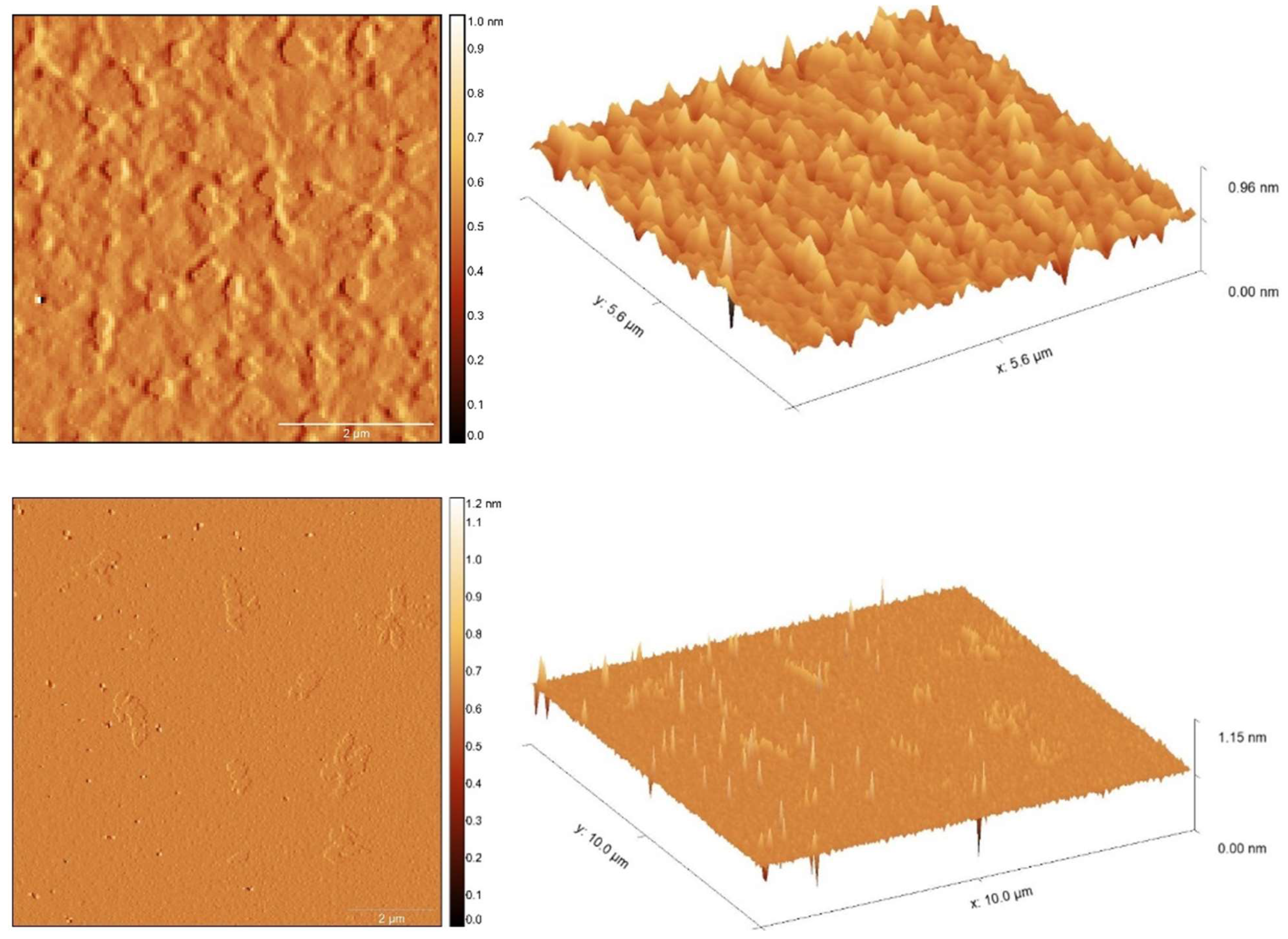 Materials 16 06410 g010