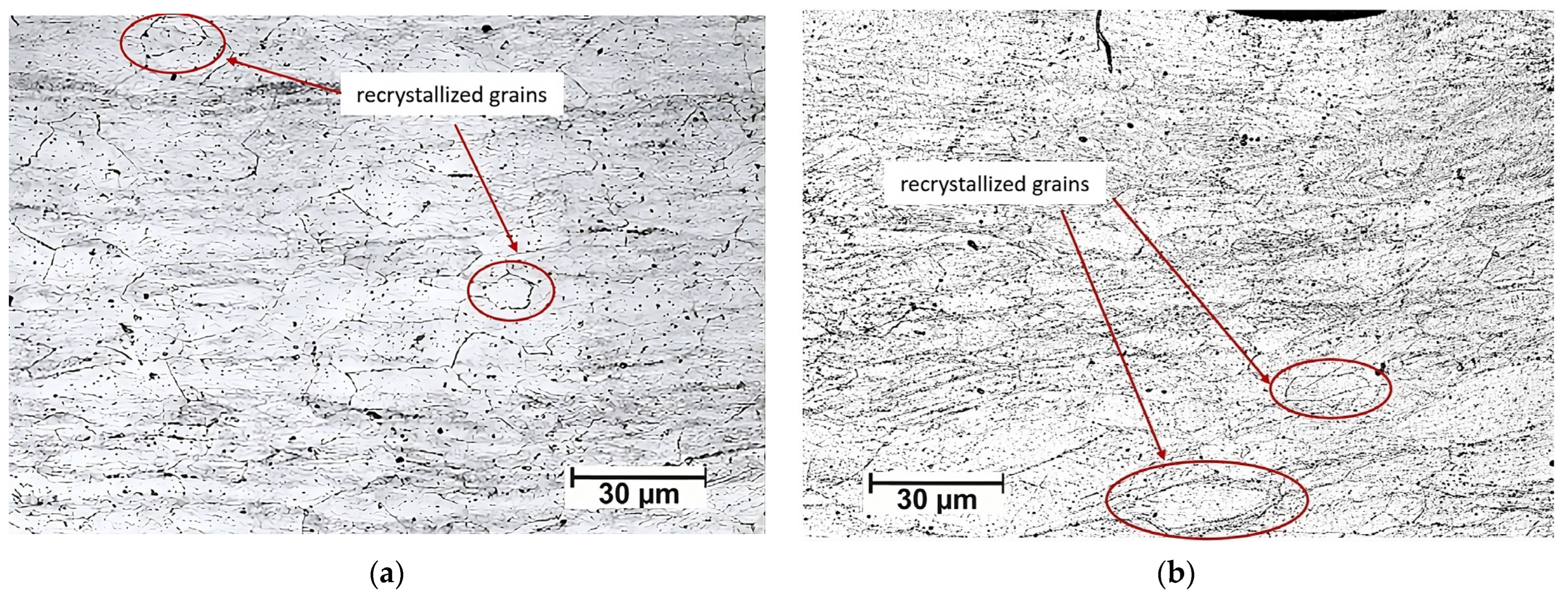 Materials 16 06416 g006
