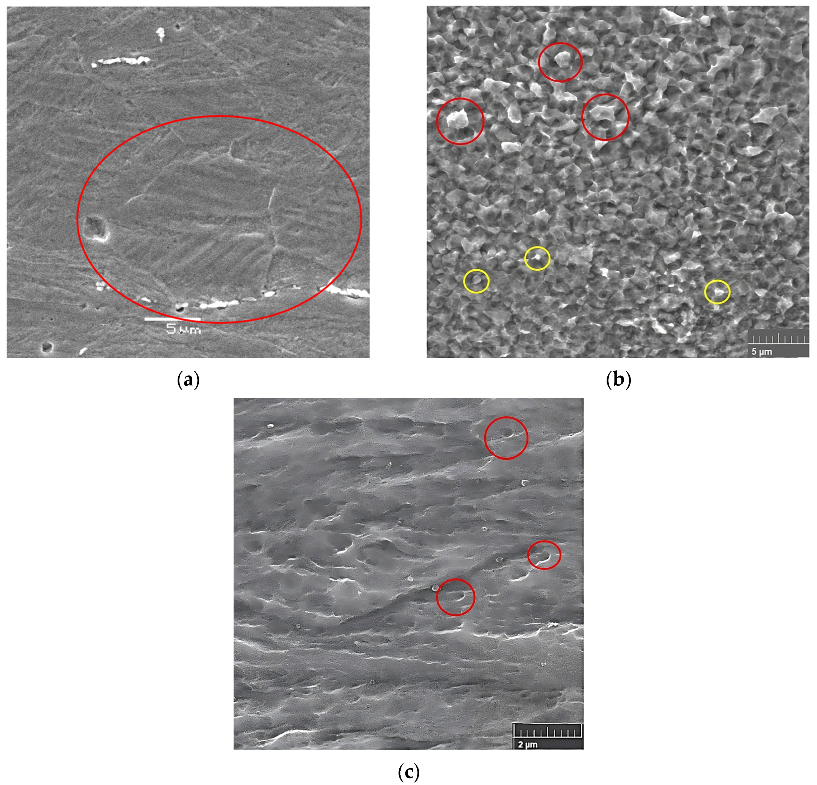 Materials 16 06416 g008