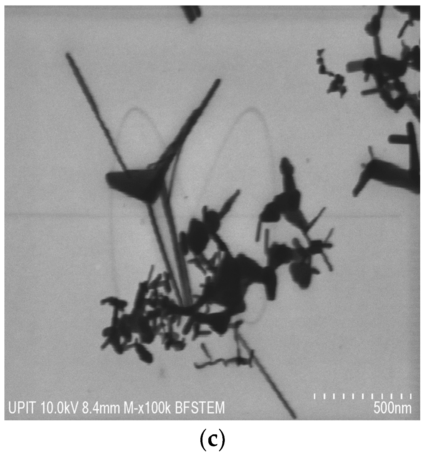 Materials 16 06417 g005b