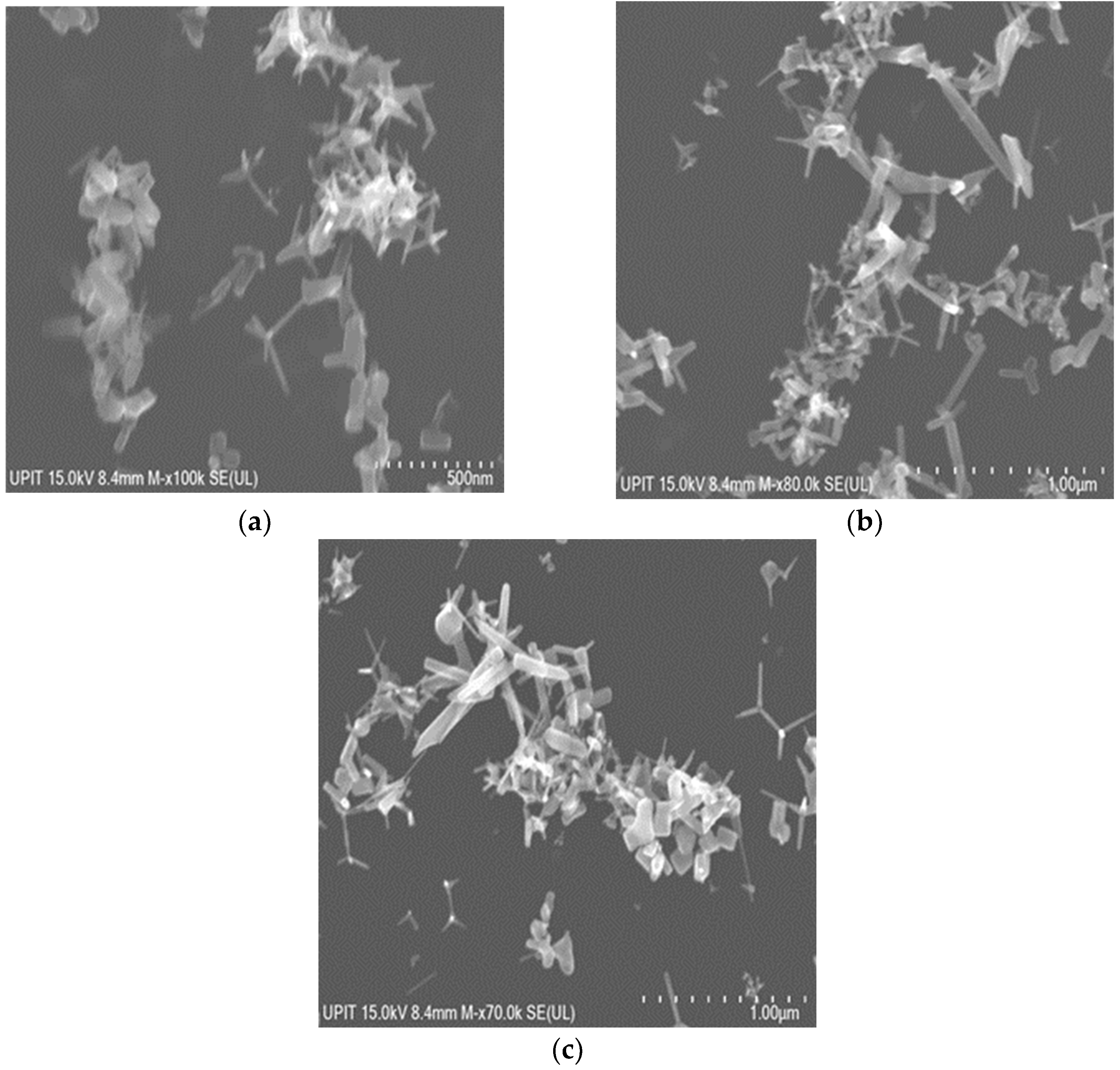 Materials 16 06417 g007